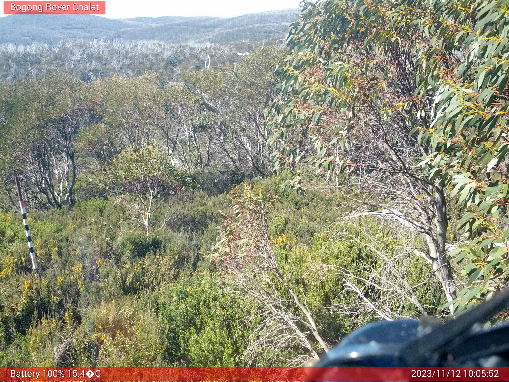 Bogong Web Cam 10:05am Sunday 12th of November 2023