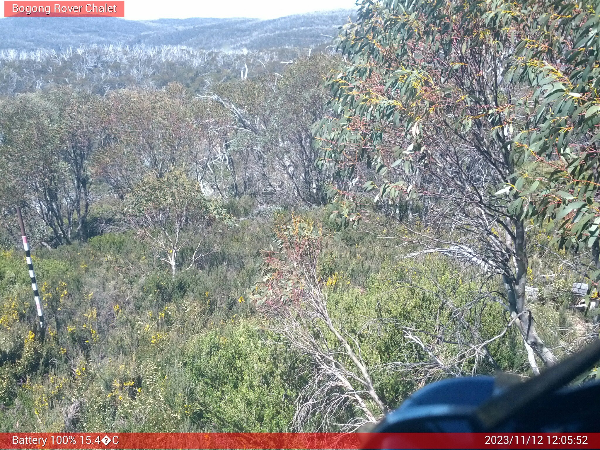 Bogong Web Cam 12:05pm Sunday 12th of November 2023