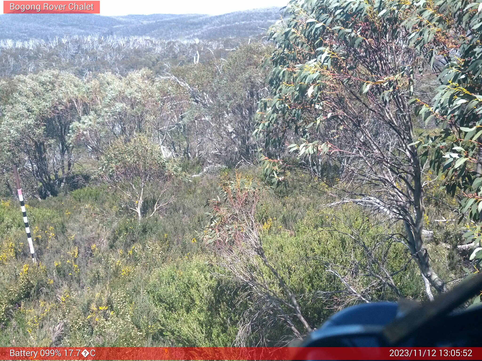 Bogong Web Cam 1:05pm Sunday 12th of November 2023