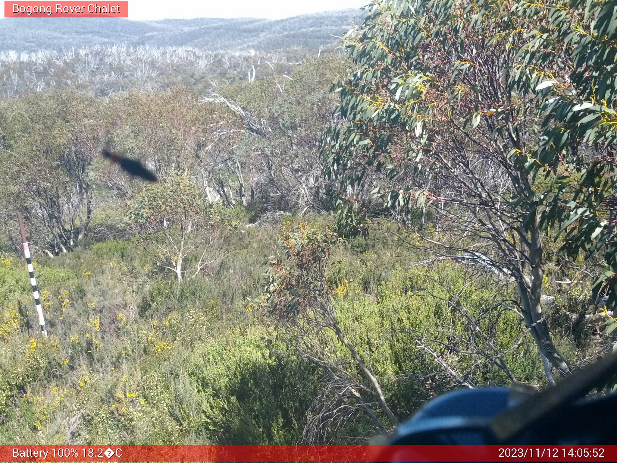 Bogong Web Cam 2:05pm Sunday 12th of November 2023