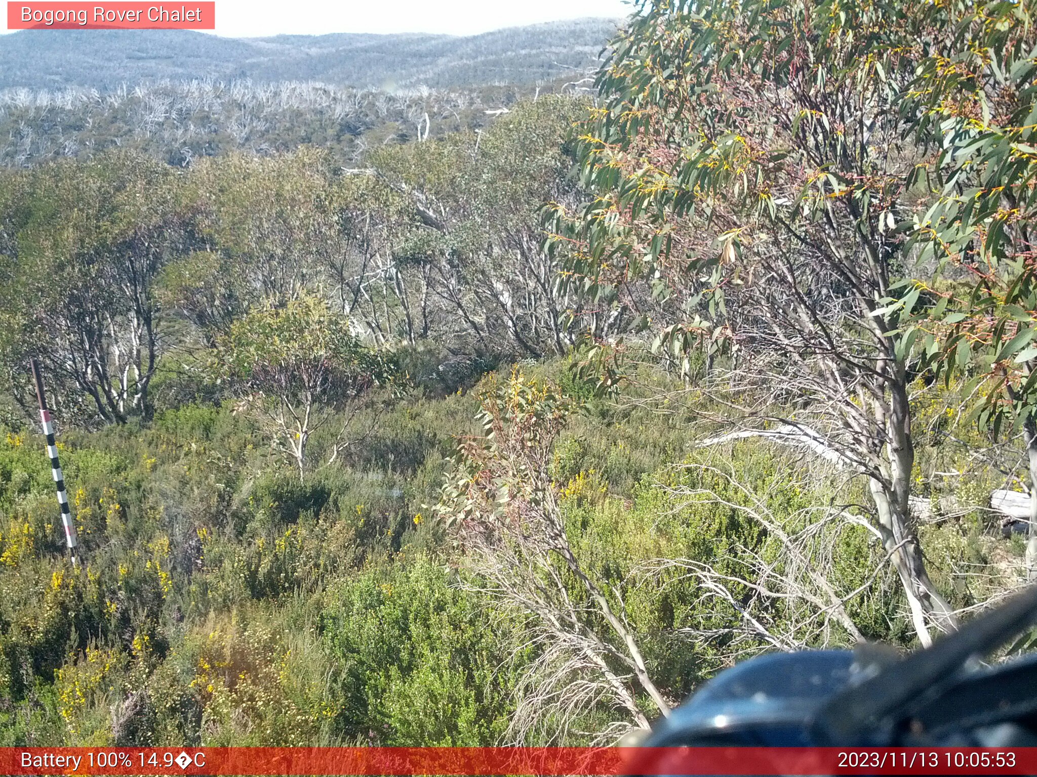 Bogong Web Cam 10:05am Monday 13th of November 2023