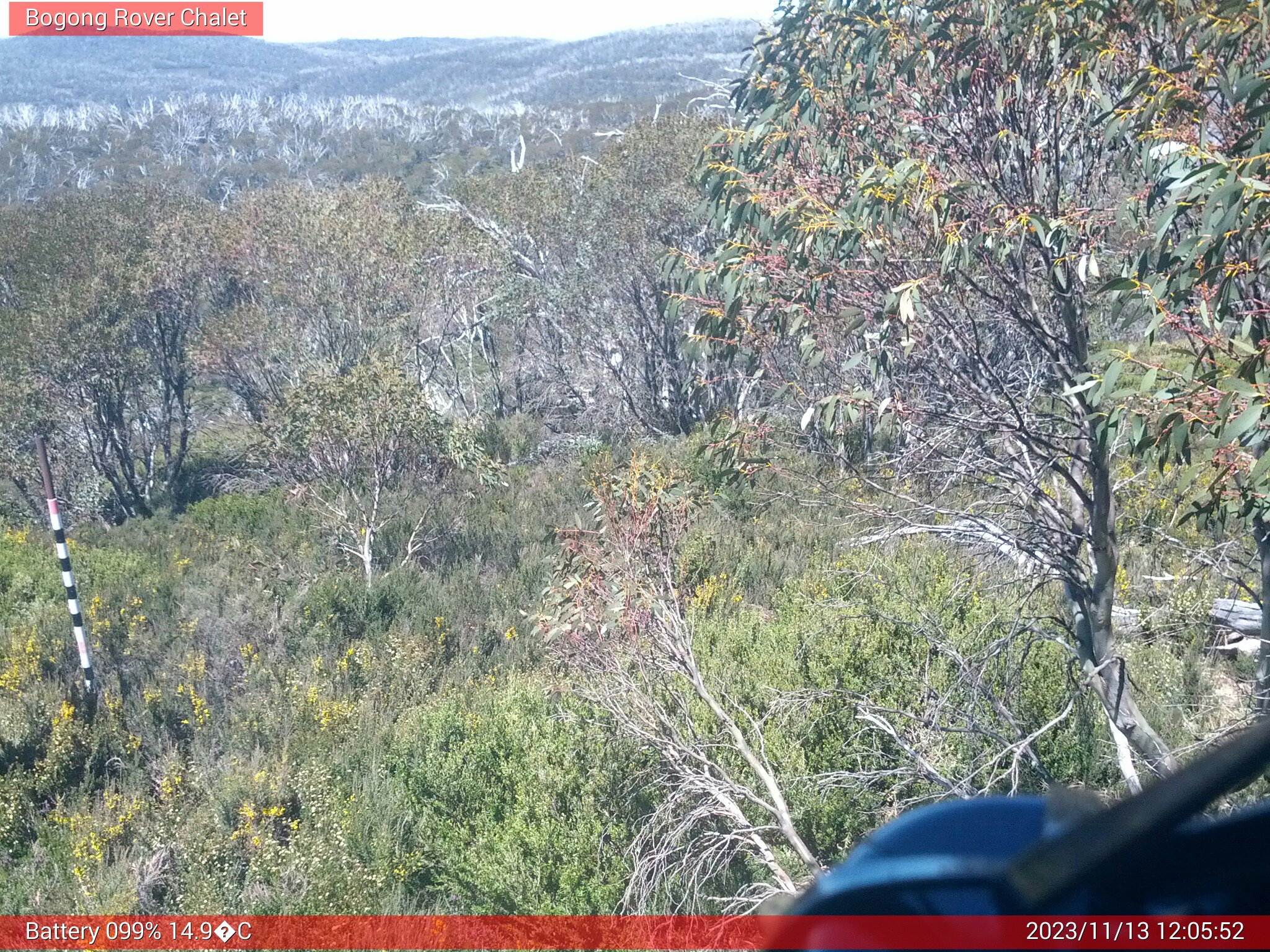 Bogong Web Cam 12:05pm Monday 13th of November 2023