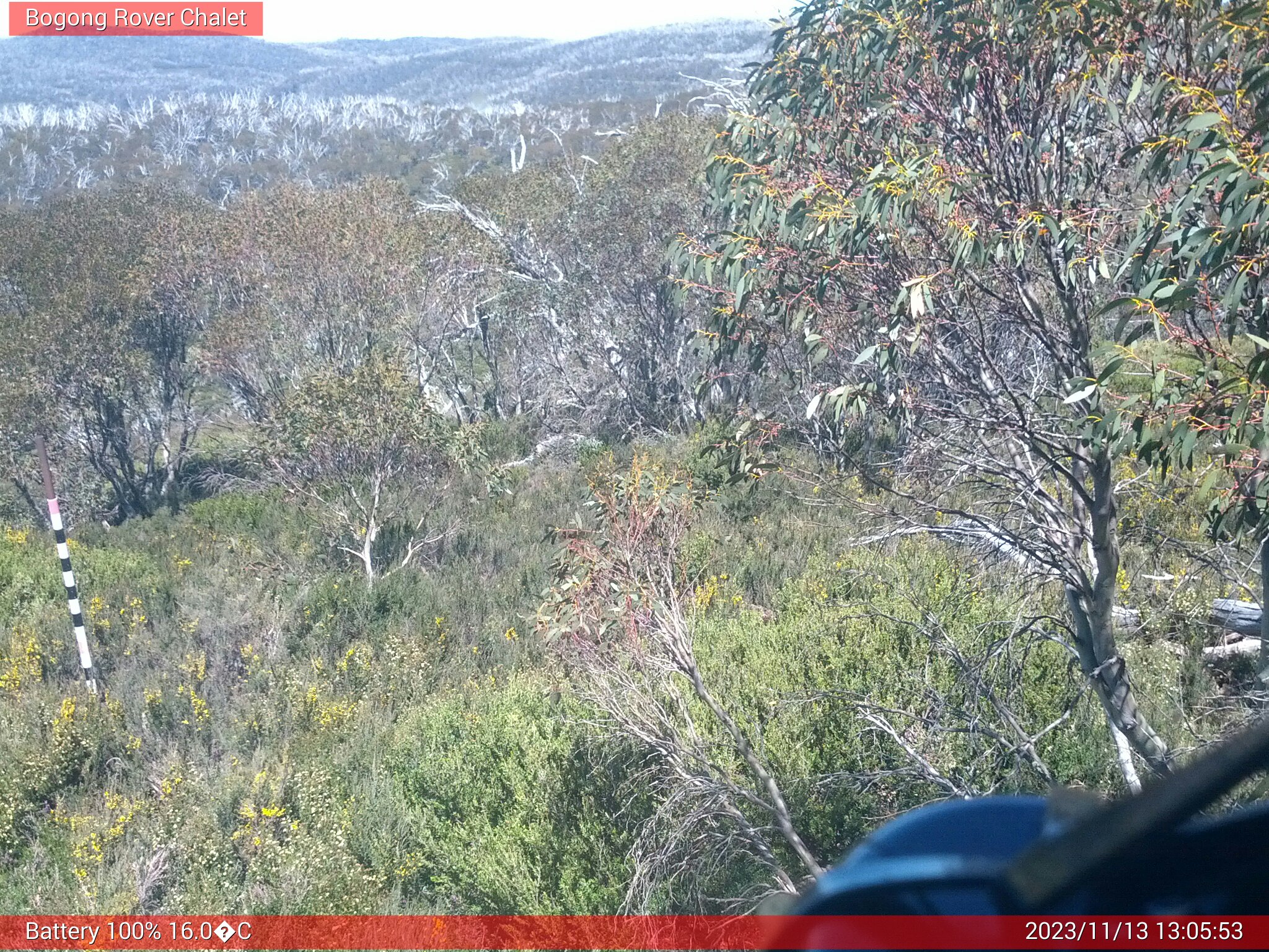 Bogong Web Cam 1:05pm Monday 13th of November 2023