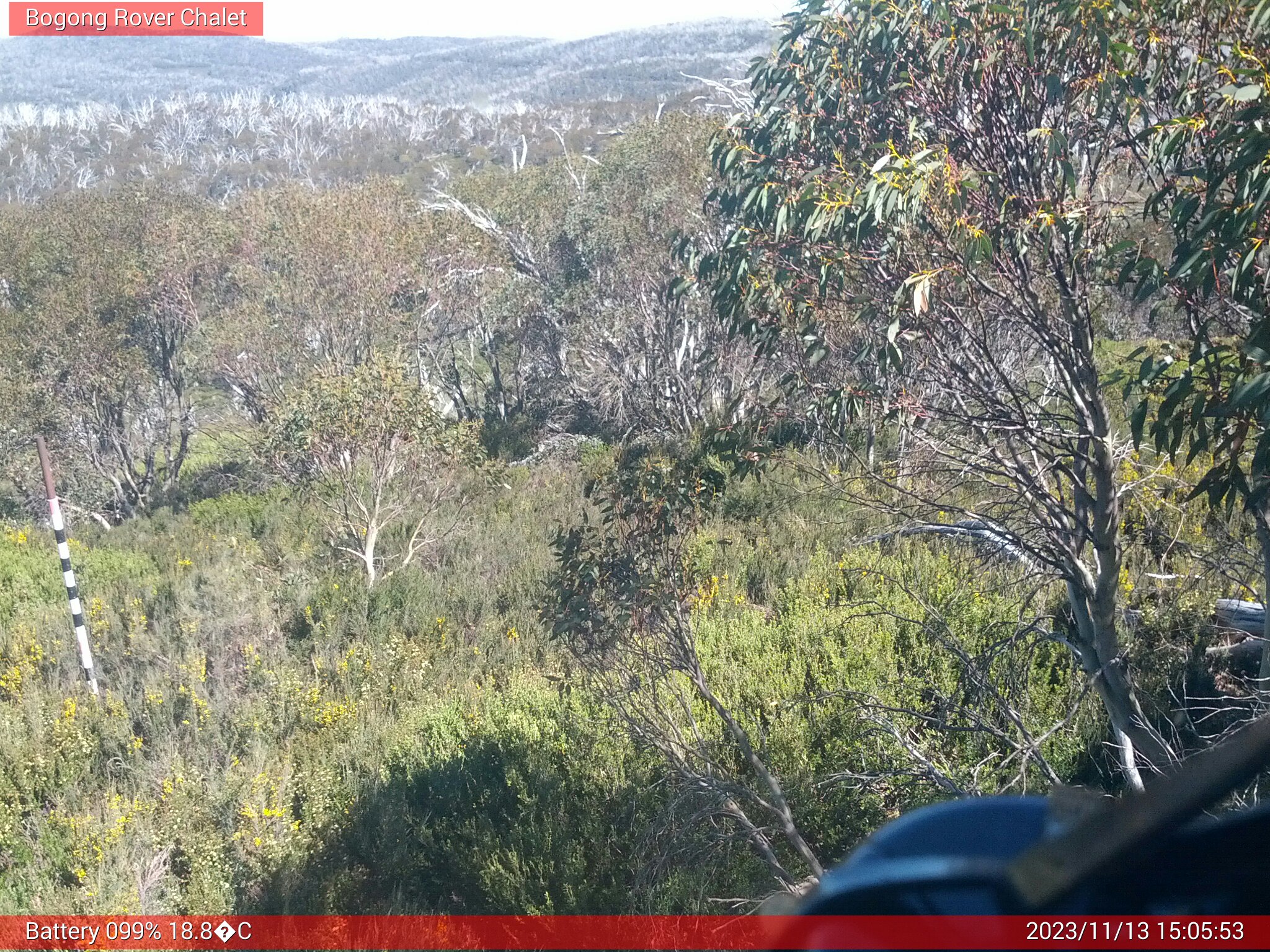 Bogong Web Cam 3:05pm Monday 13th of November 2023