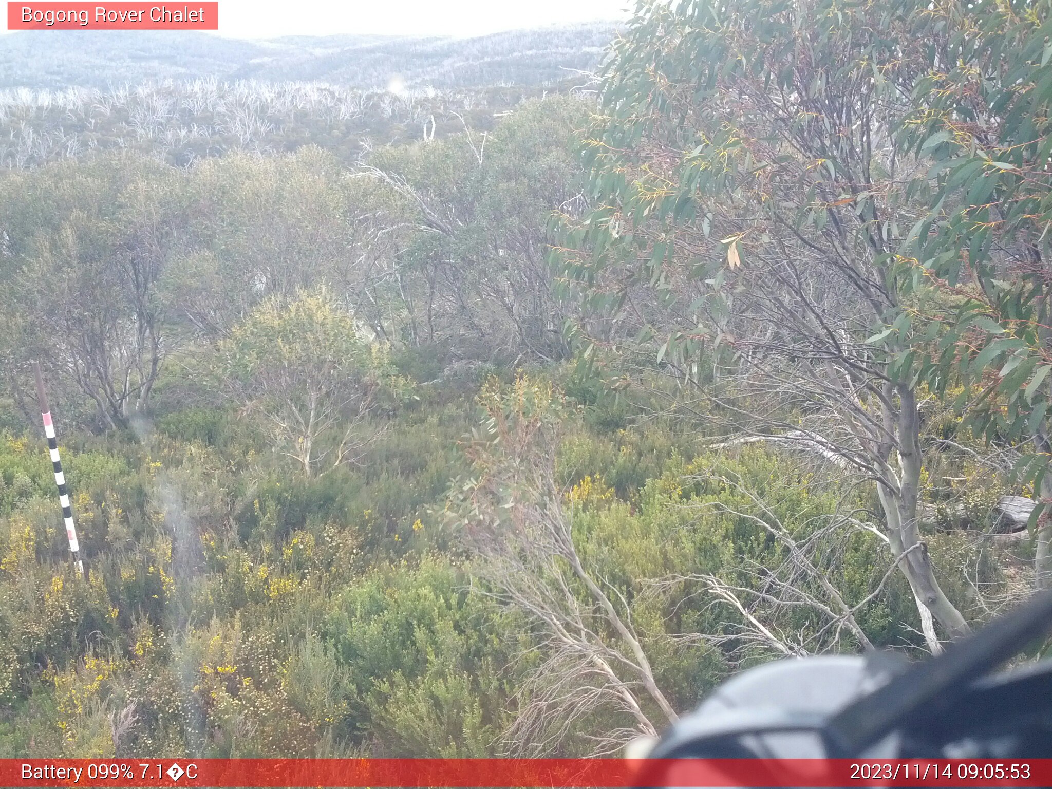 Bogong Web Cam 9:05am Tuesday 14th of November 2023