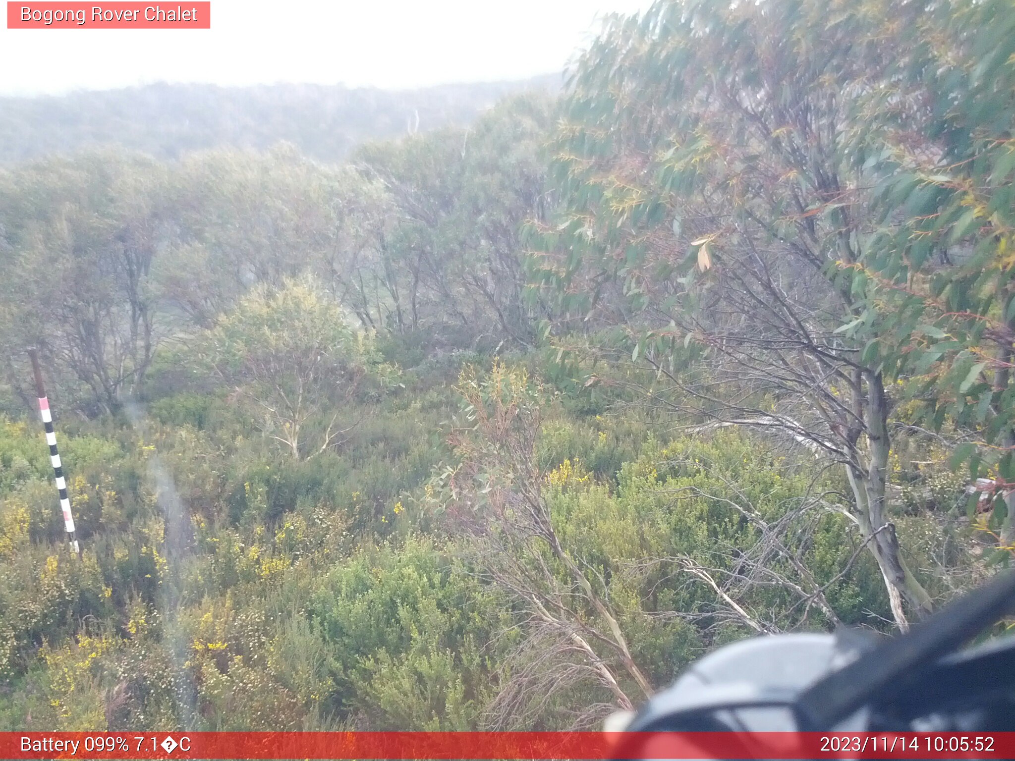 Bogong Web Cam 10:05am Tuesday 14th of November 2023