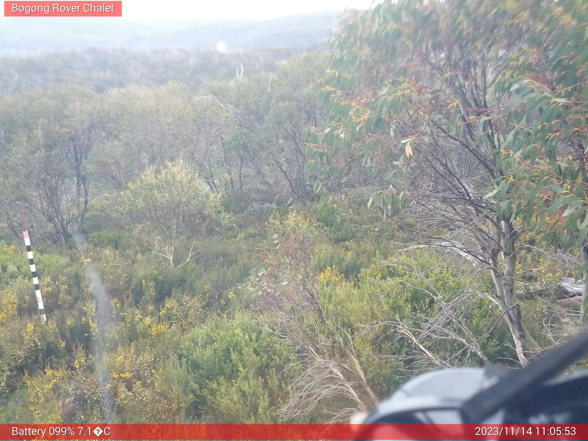 Bogong Web Cam 11:05am Tuesday 14th of November 2023