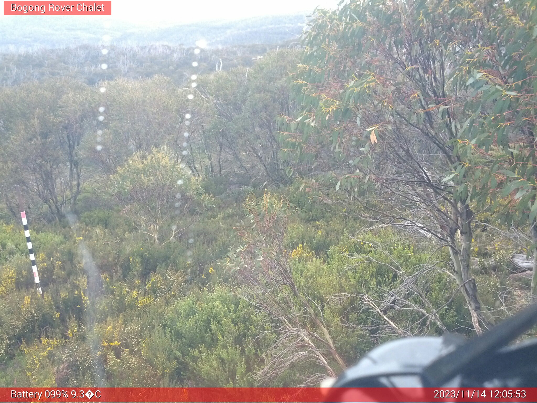 Bogong Web Cam 12:05pm Tuesday 14th of November 2023