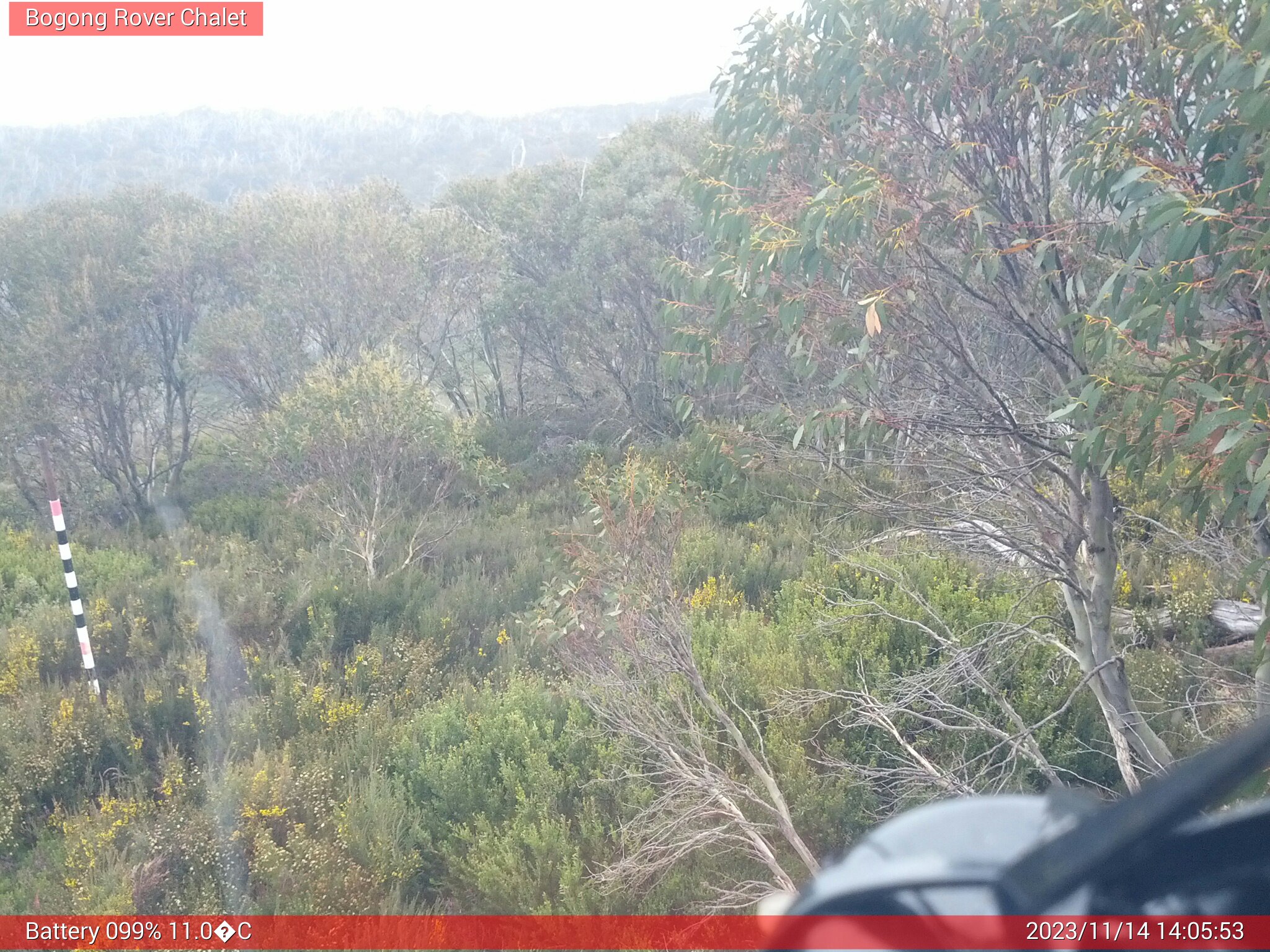 Bogong Web Cam 2:05pm Tuesday 14th of November 2023