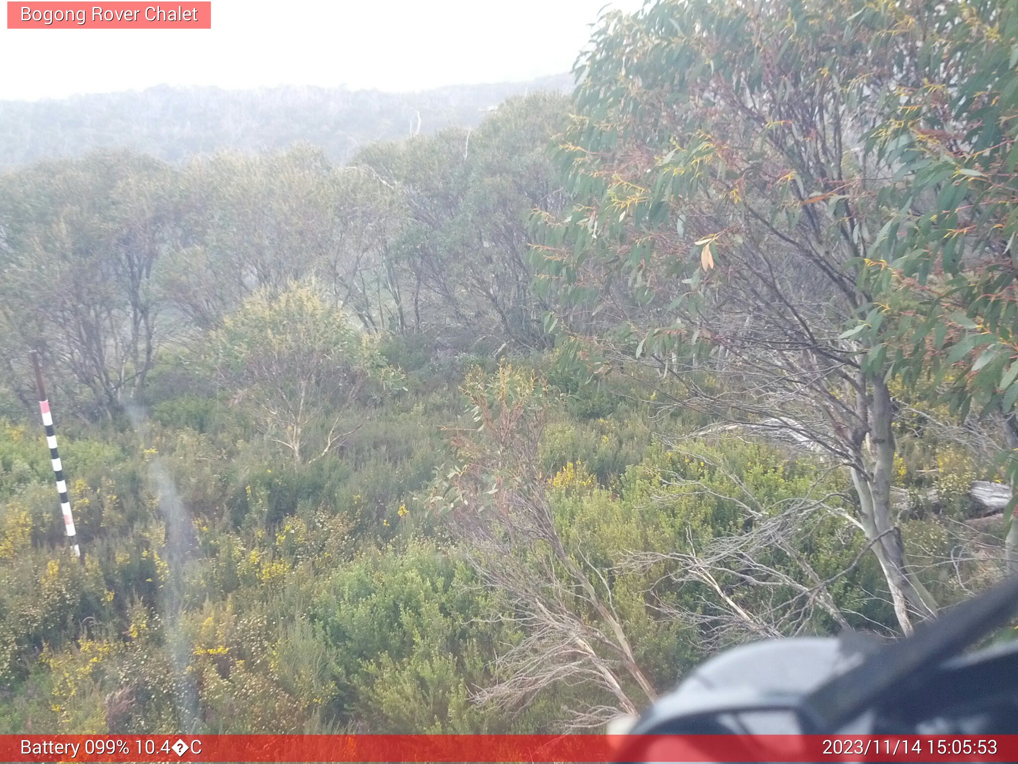 Bogong Web Cam 3:05pm Tuesday 14th of November 2023