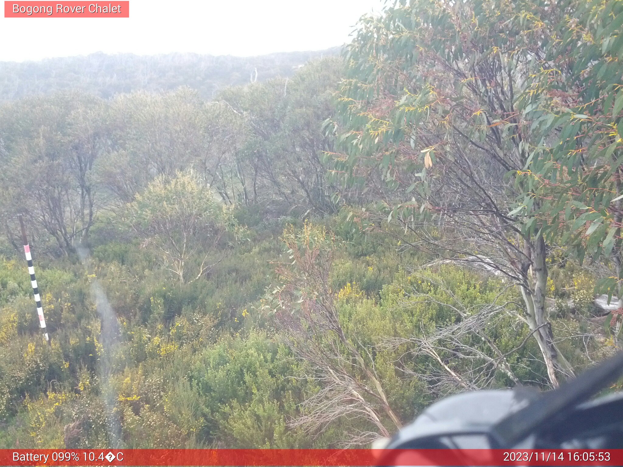 Bogong Web Cam 4:05pm Tuesday 14th of November 2023