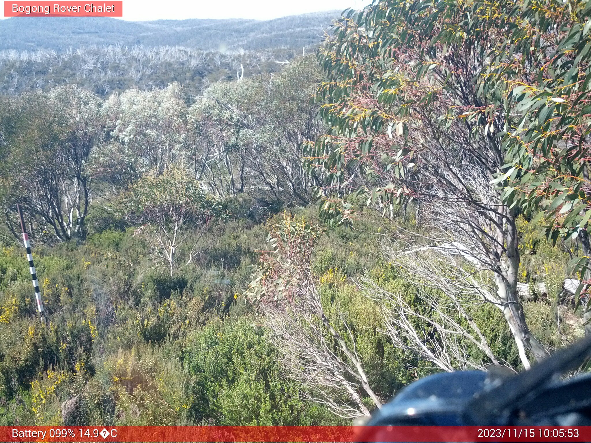 Bogong Web Cam 10:05am Wednesday 15th of November 2023