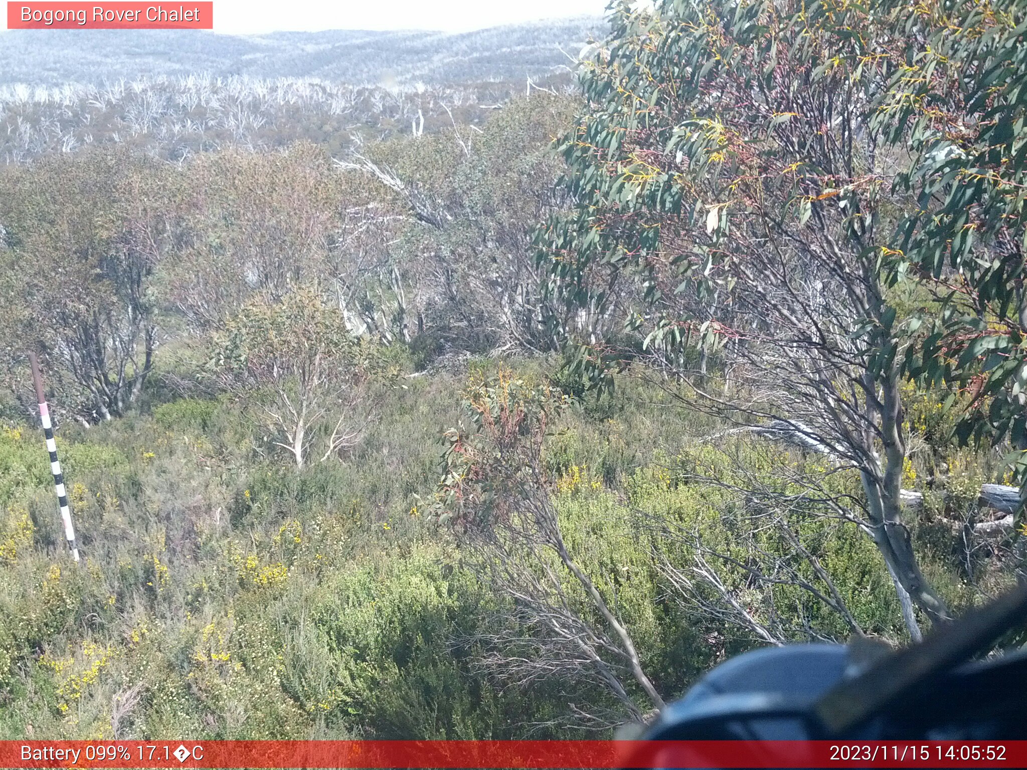 Bogong Web Cam 2:05pm Wednesday 15th of November 2023