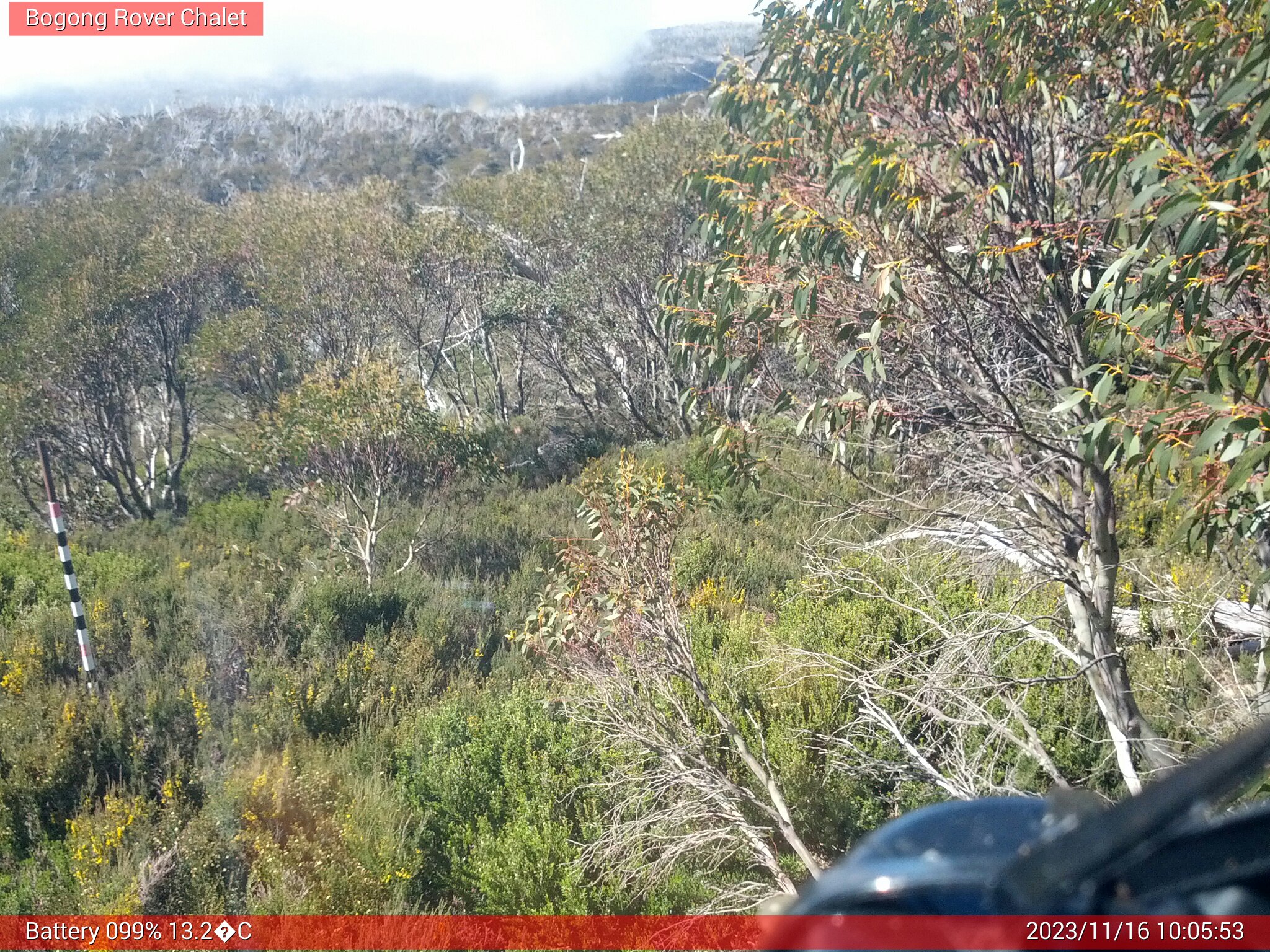 Bogong Web Cam 10:05am Thursday 16th of November 2023