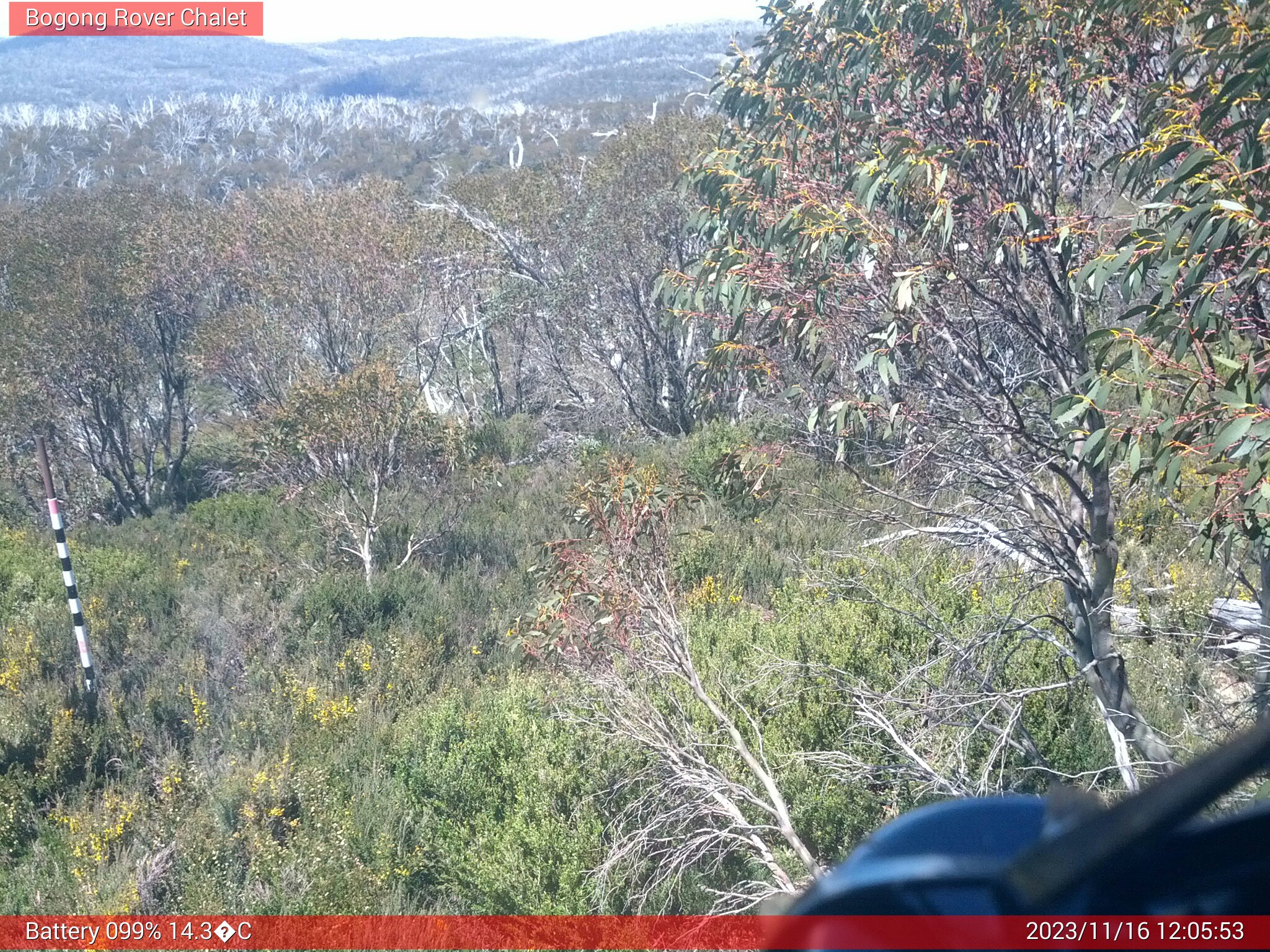 Bogong Web Cam 12:05pm Thursday 16th of November 2023