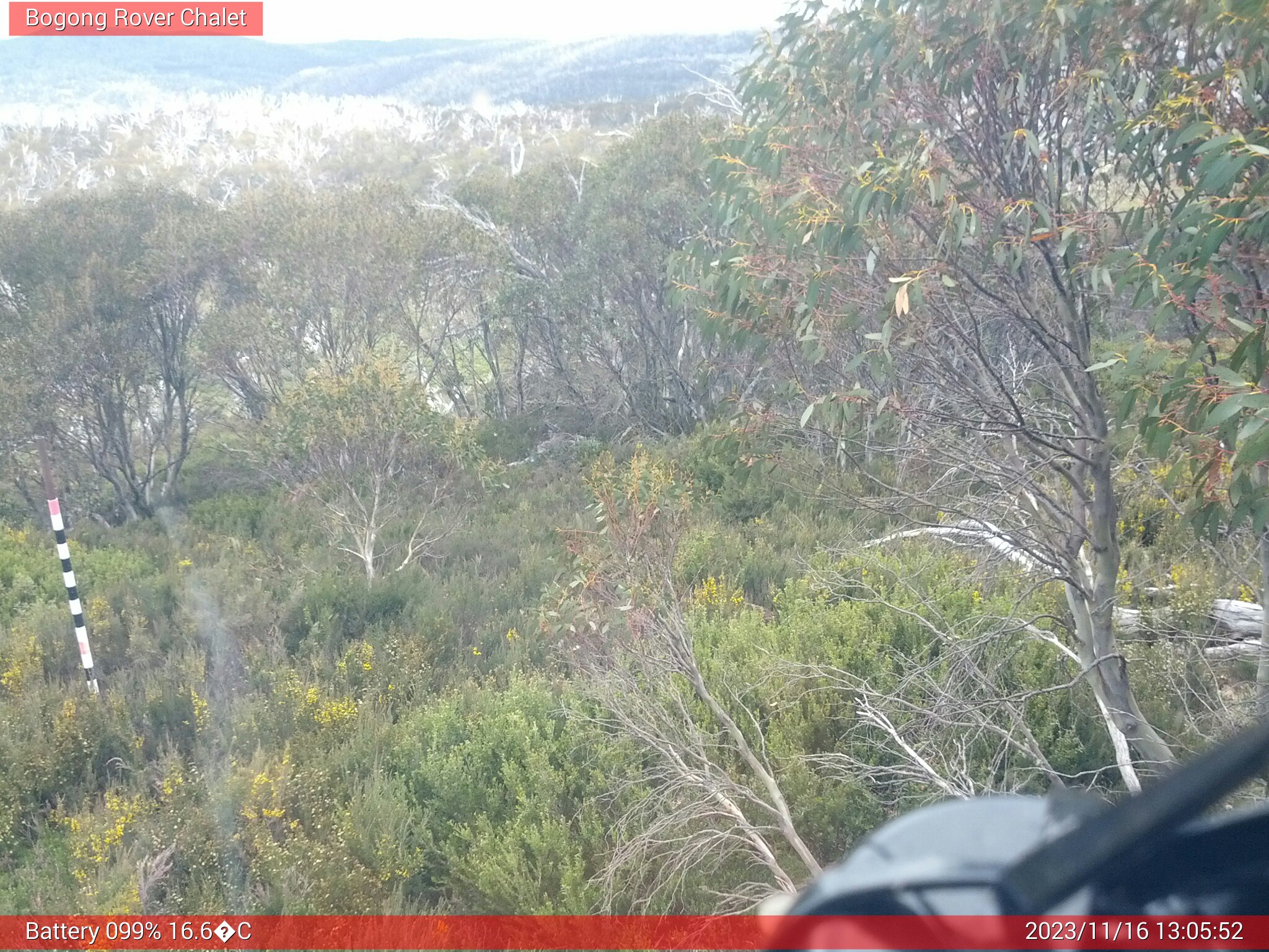 Bogong Web Cam 1:05pm Thursday 16th of November 2023