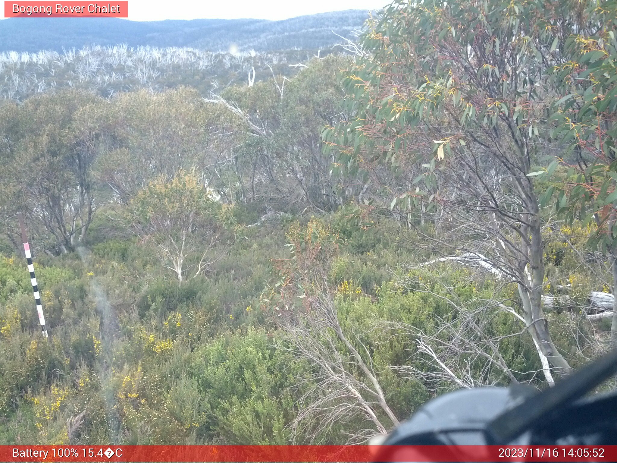 Bogong Web Cam 2:05pm Thursday 16th of November 2023