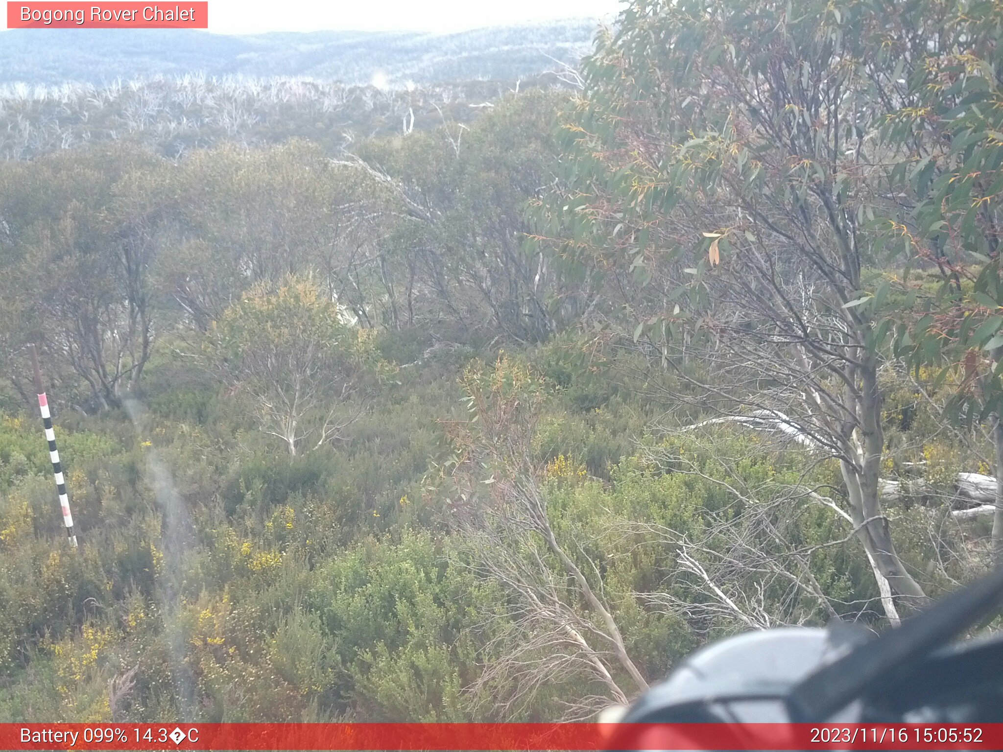 Bogong Web Cam 3:05pm Thursday 16th of November 2023