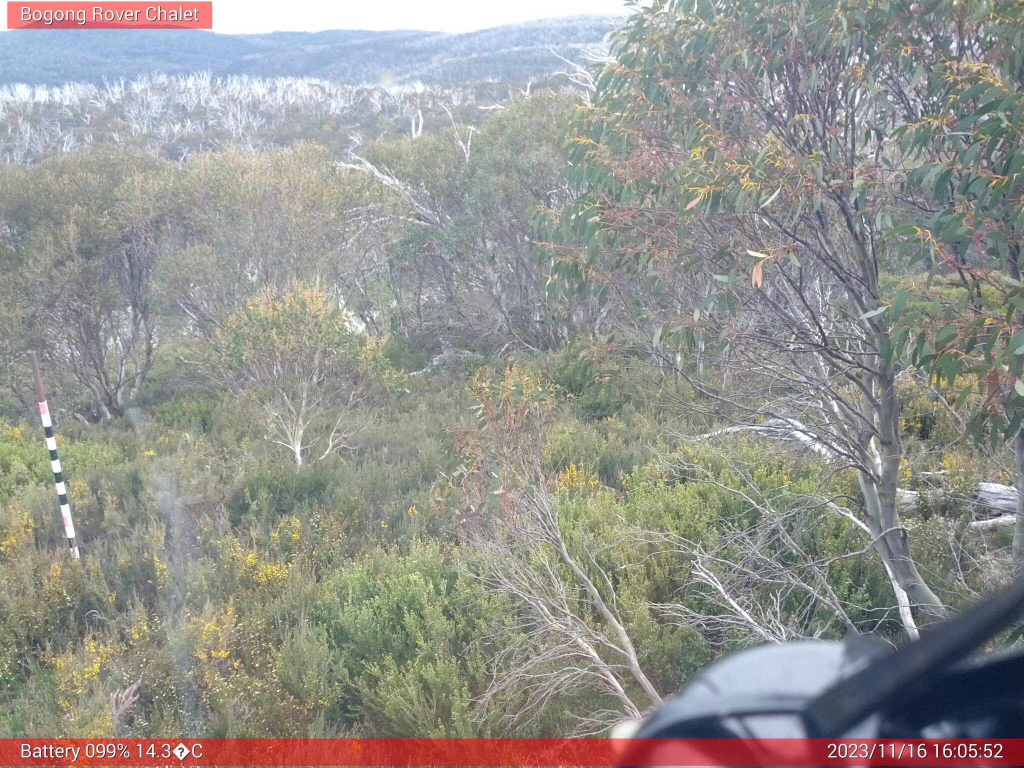 Bogong Web Cam 4:05pm Thursday 16th of November 2023