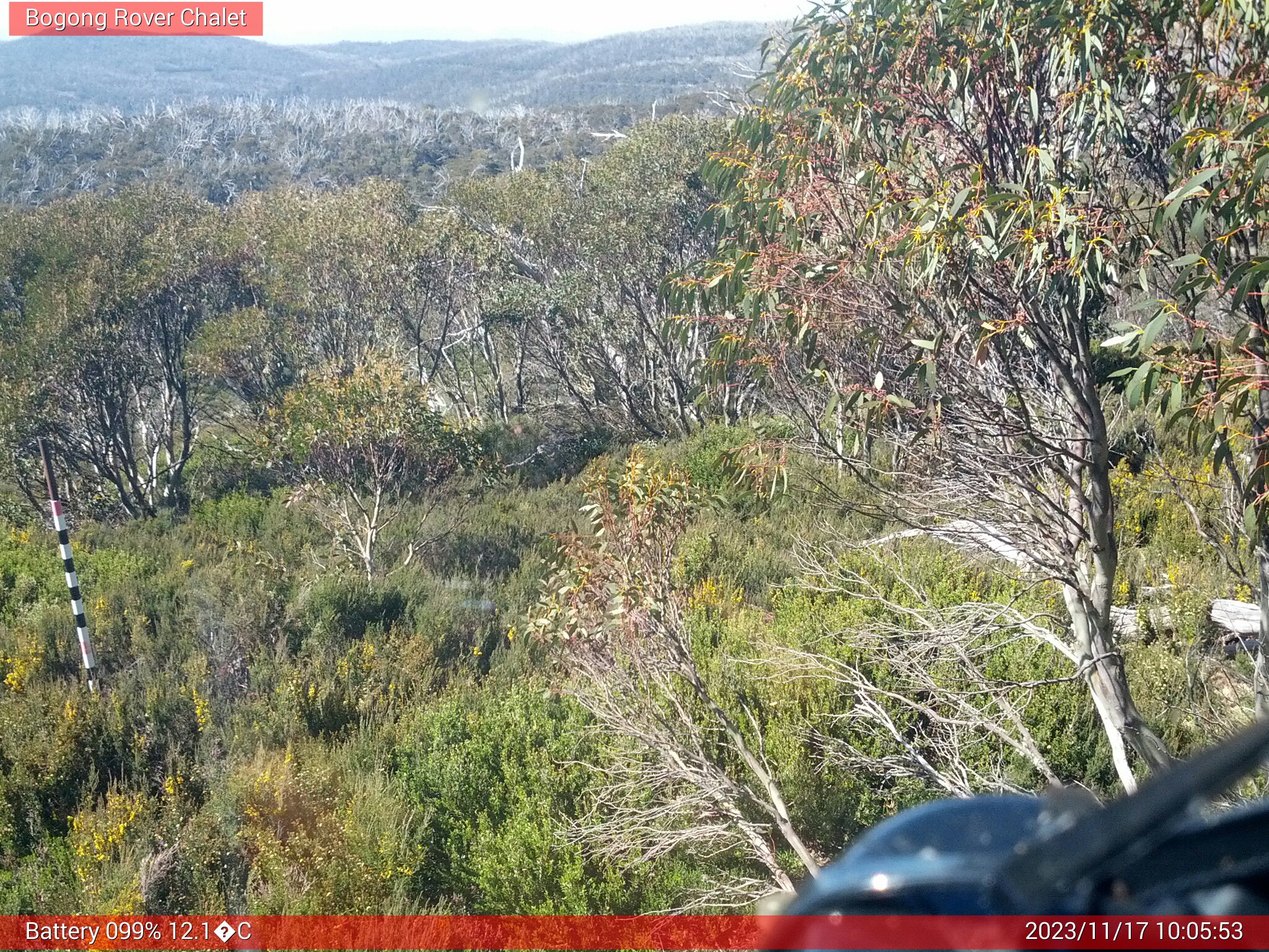 Bogong Web Cam 10:05am Friday 17th of November 2023