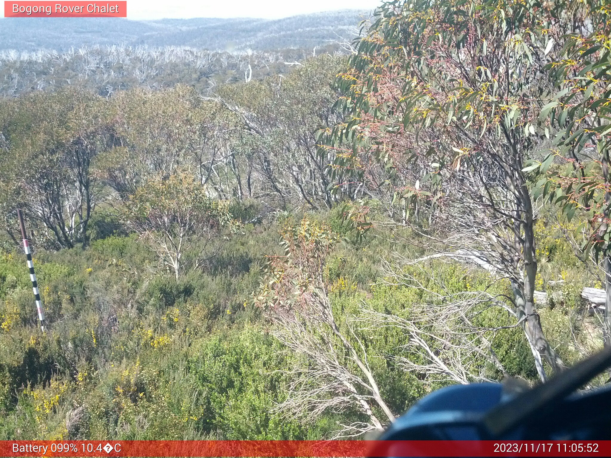 Bogong Web Cam 11:05am Friday 17th of November 2023