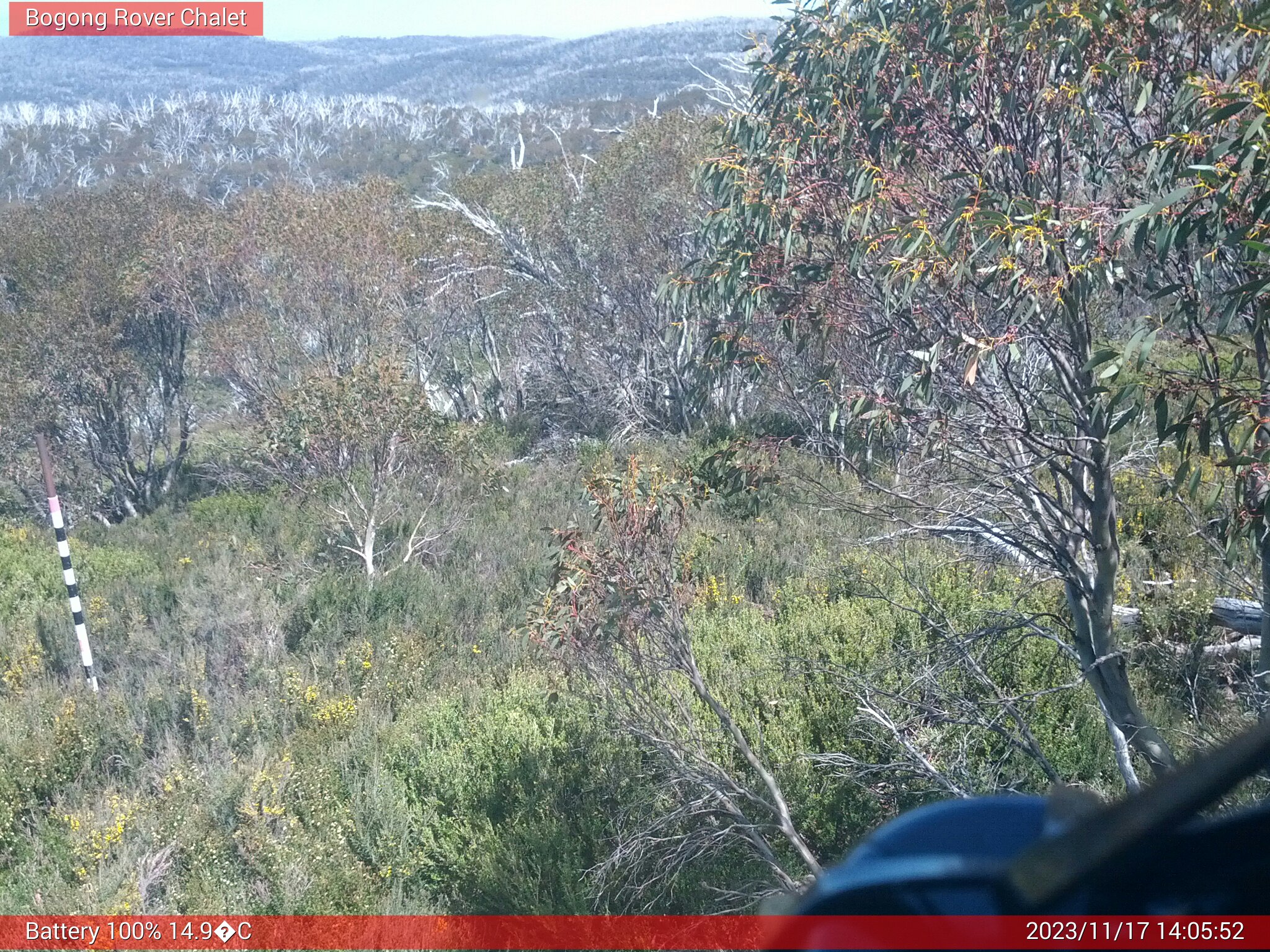 Bogong Web Cam 2:05pm Friday 17th of November 2023