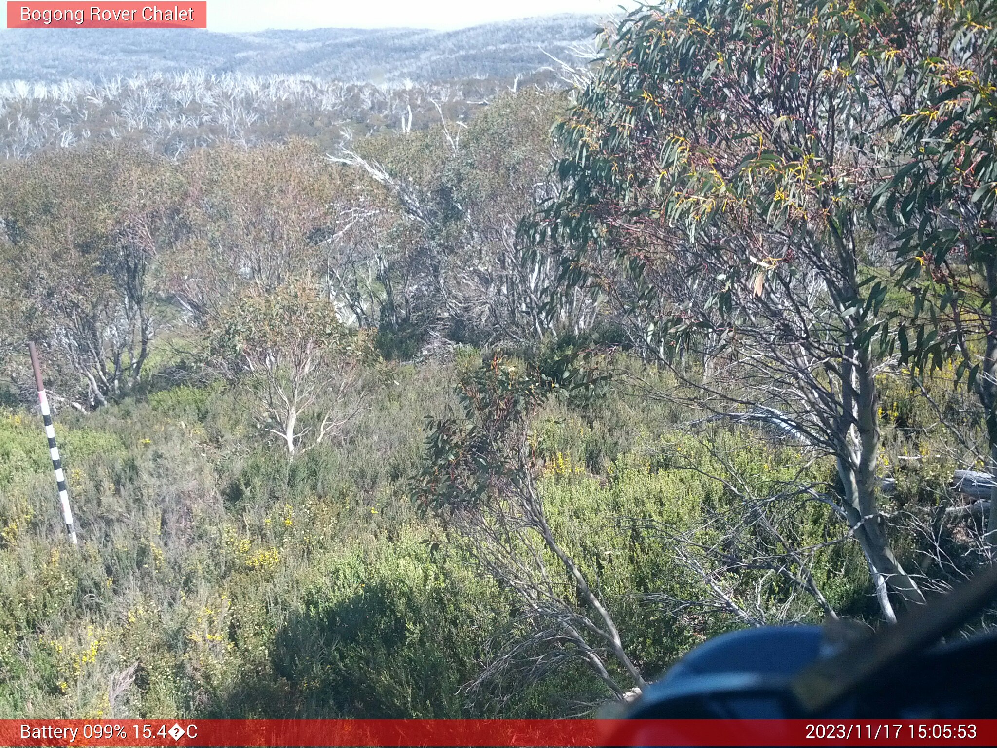 Bogong Web Cam 3:05pm Friday 17th of November 2023