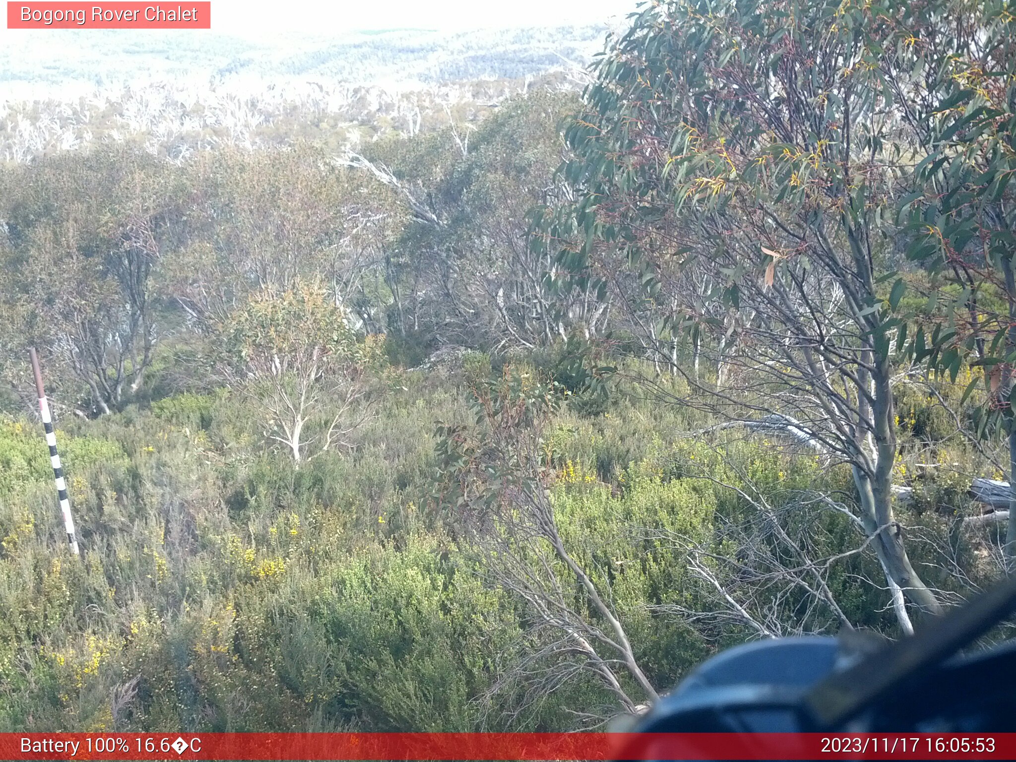 Bogong Web Cam 4:05pm Friday 17th of November 2023