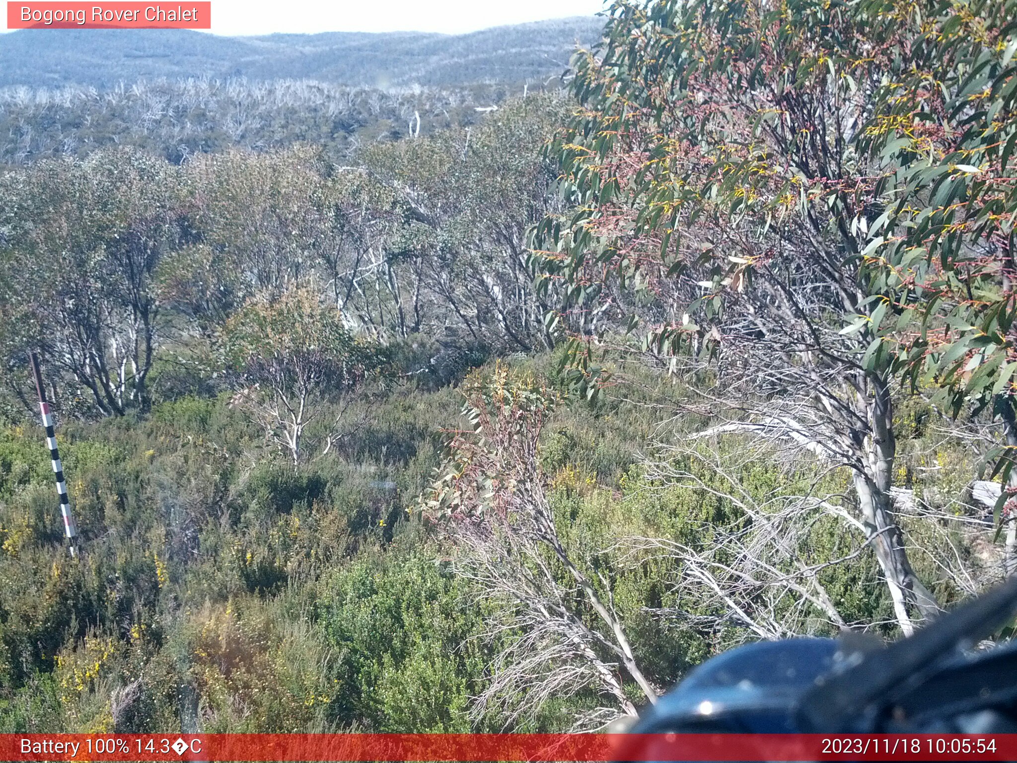 Bogong Web Cam 10:05am Saturday 18th of November 2023