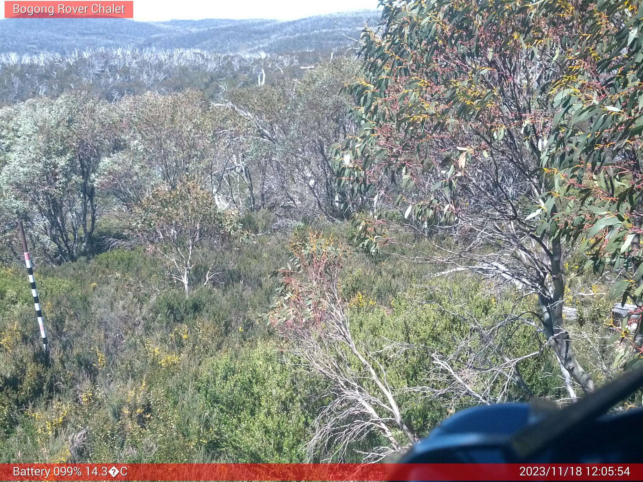 Bogong Web Cam 12:05pm Saturday 18th of November 2023