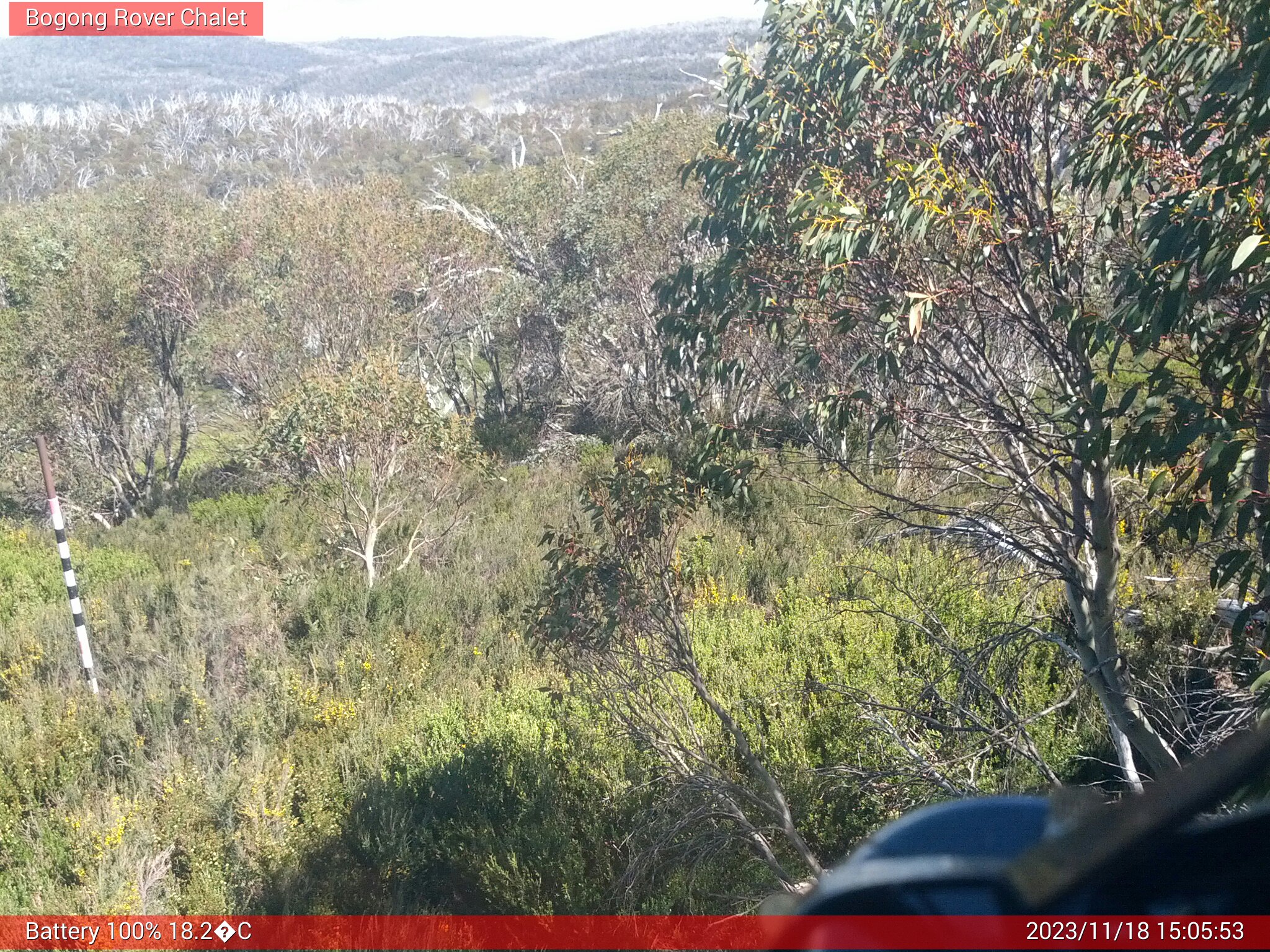 Bogong Web Cam 3:05pm Saturday 18th of November 2023