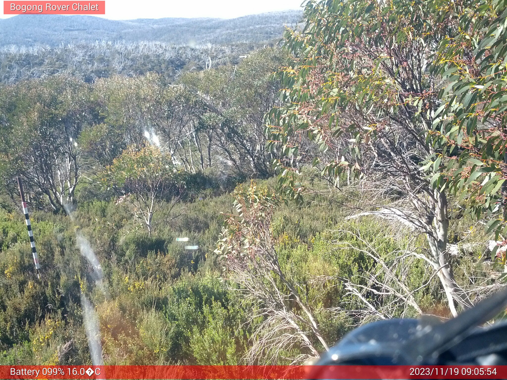 Bogong Web Cam 9:05am Sunday 19th of November 2023