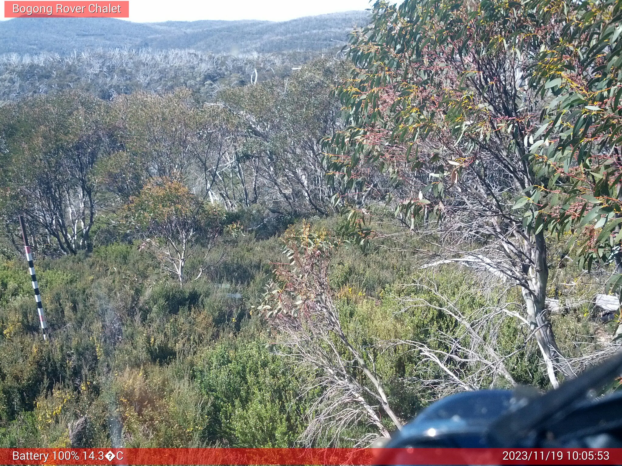 Bogong Web Cam 10:05am Sunday 19th of November 2023