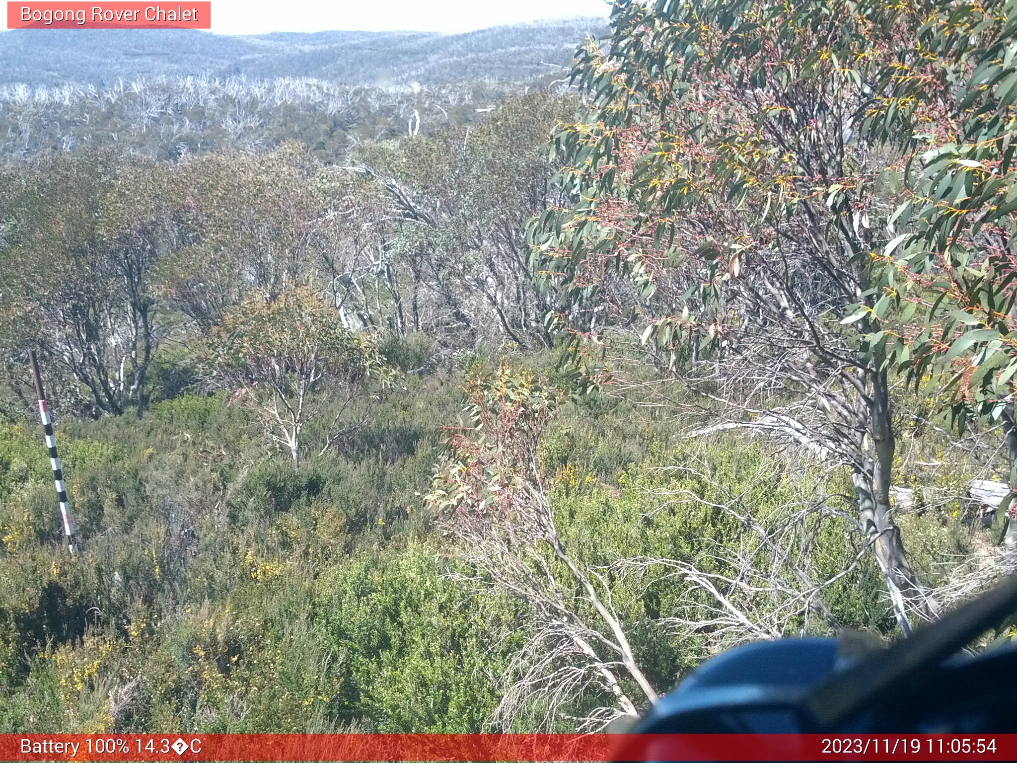 Bogong Web Cam 11:05am Sunday 19th of November 2023