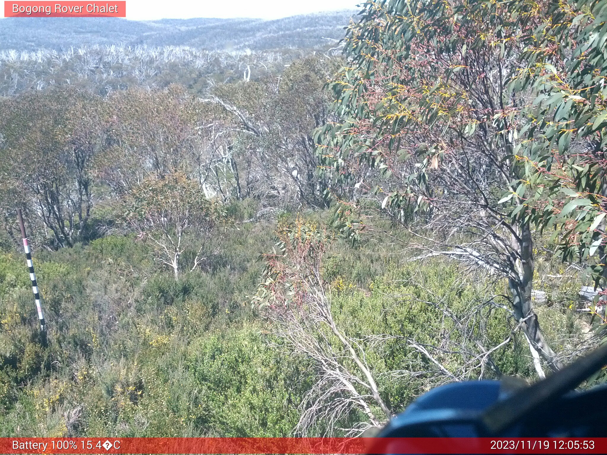 Bogong Web Cam 12:05pm Sunday 19th of November 2023