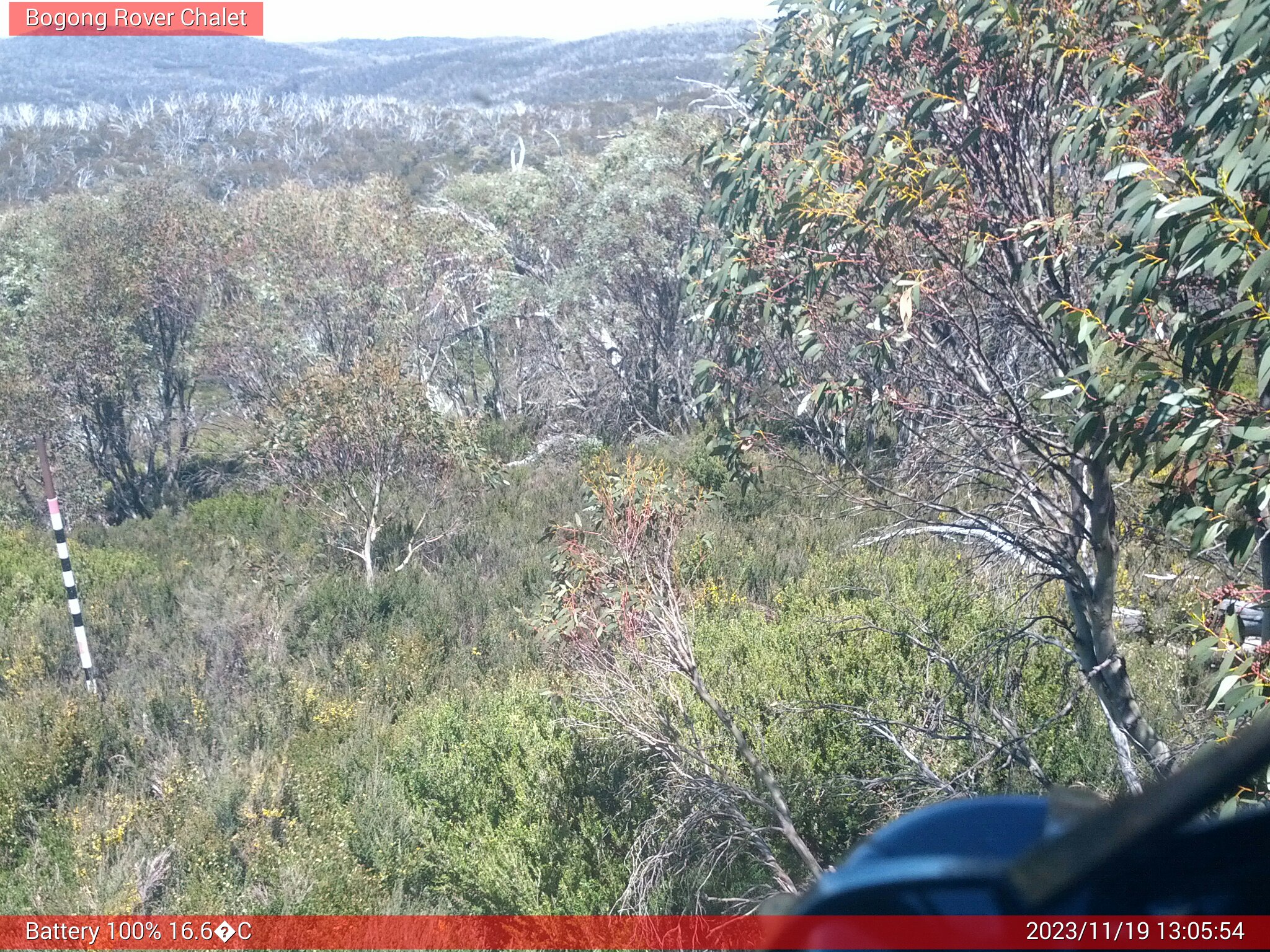 Bogong Web Cam 1:05pm Sunday 19th of November 2023