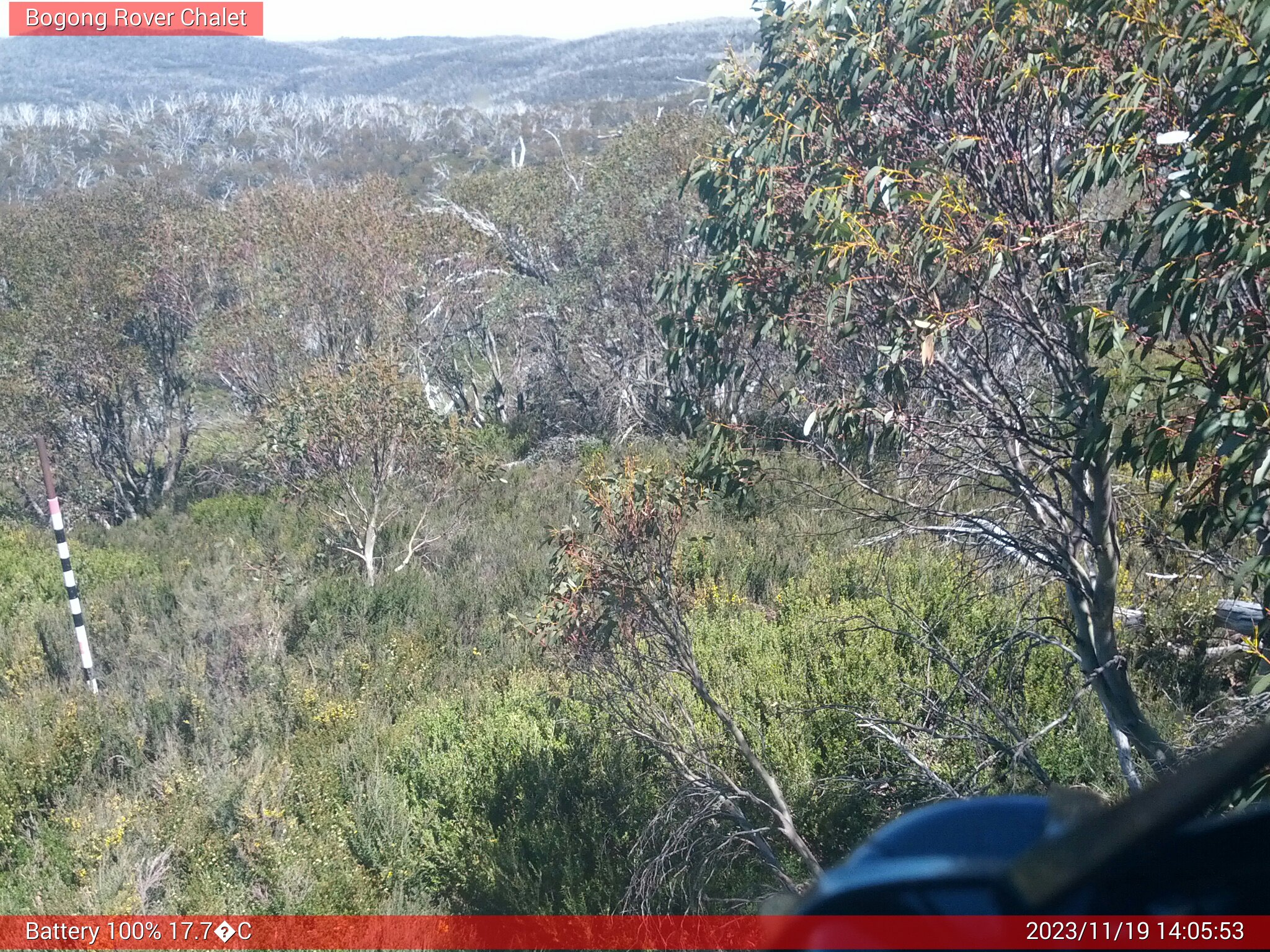 Bogong Web Cam 2:05pm Sunday 19th of November 2023