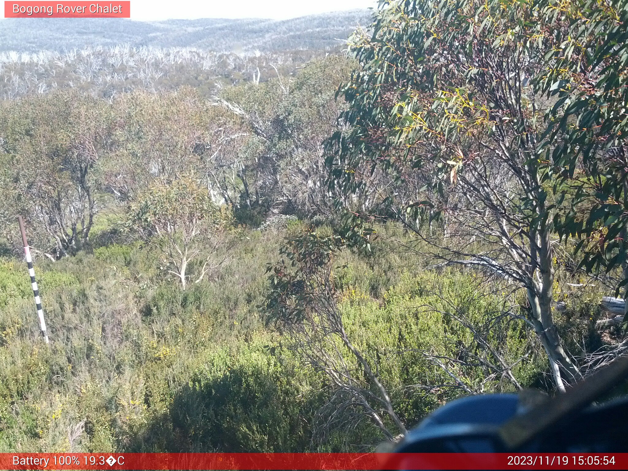 Bogong Web Cam 3:05pm Sunday 19th of November 2023