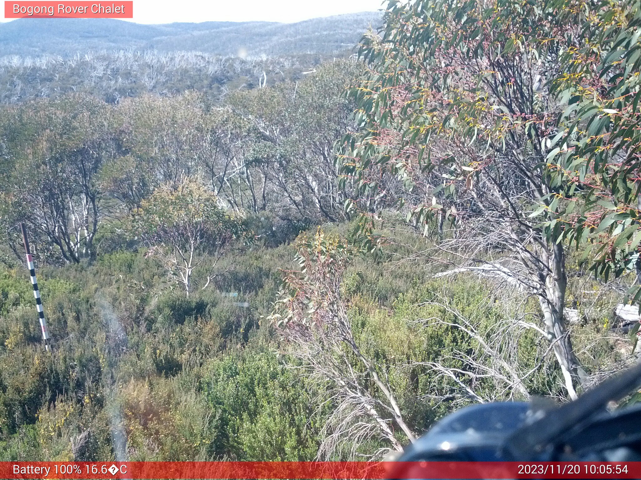 Bogong Web Cam 10:05am Monday 20th of November 2023