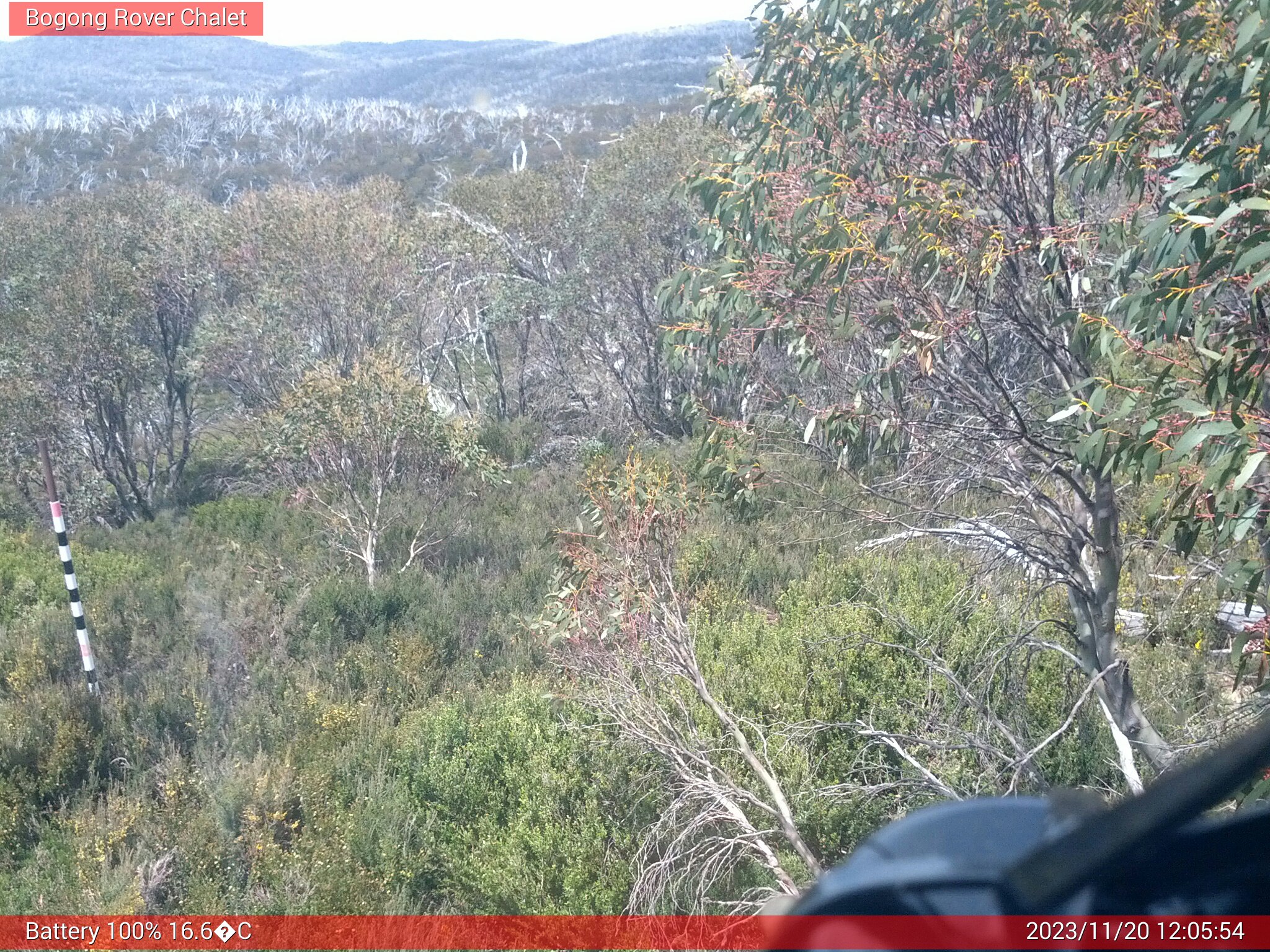 Bogong Web Cam 12:05pm Monday 20th of November 2023