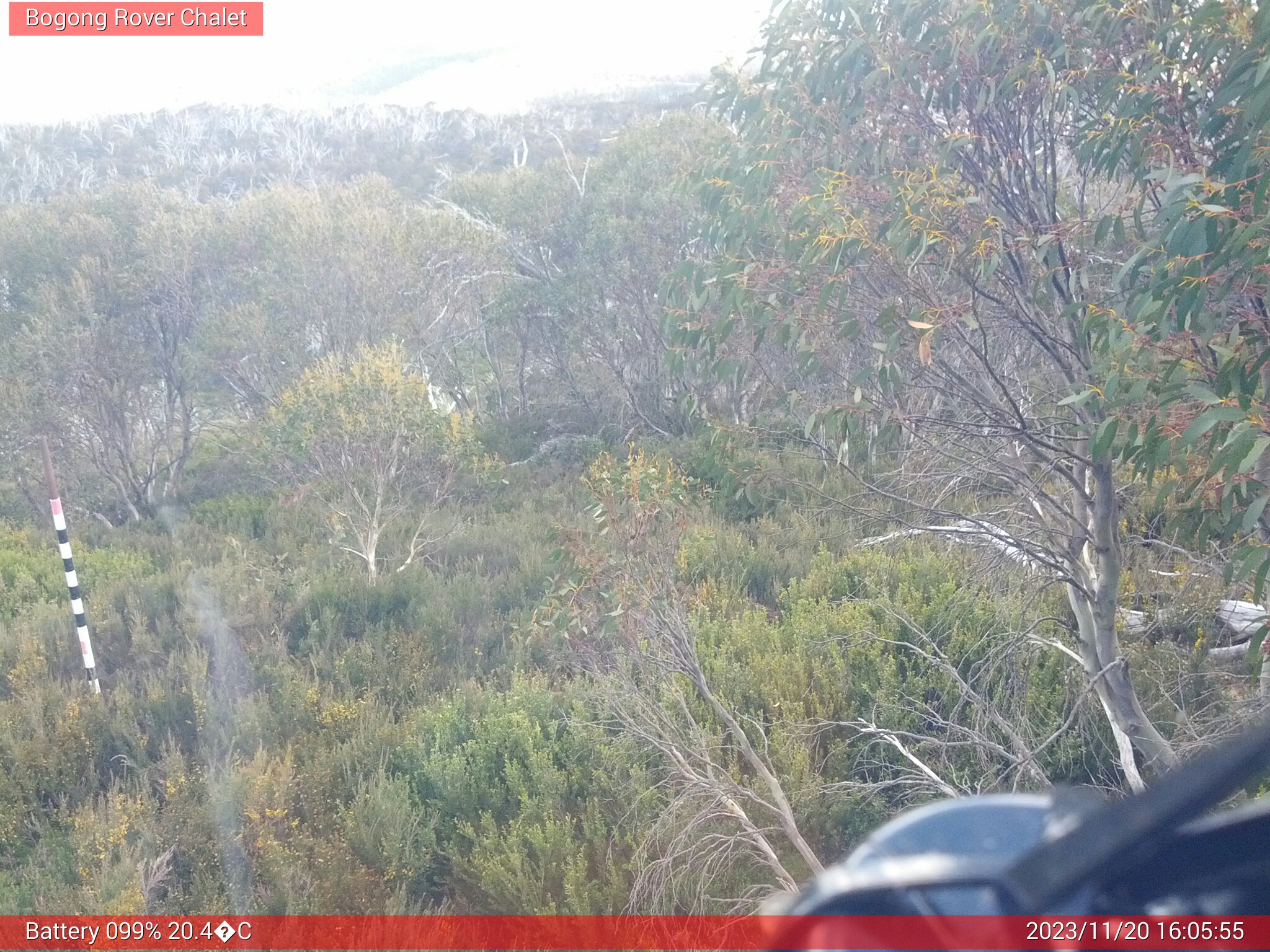 Bogong Web Cam 4:05pm Monday 20th of November 2023