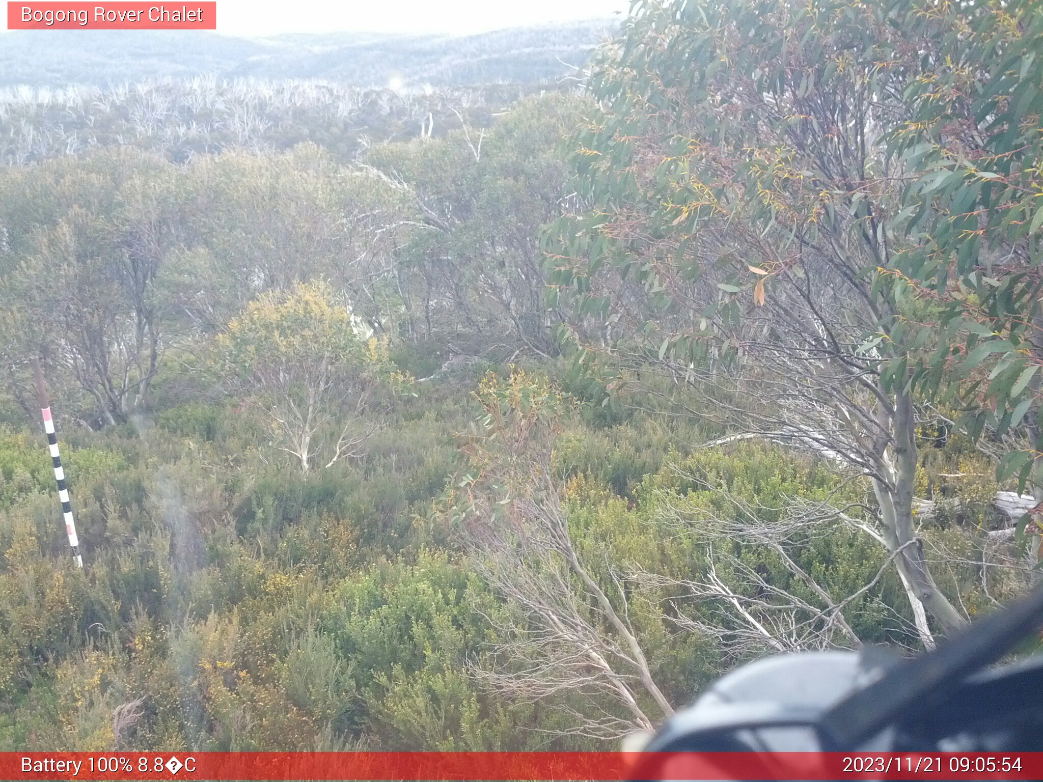 Bogong Web Cam 9:05am Tuesday 21st of November 2023