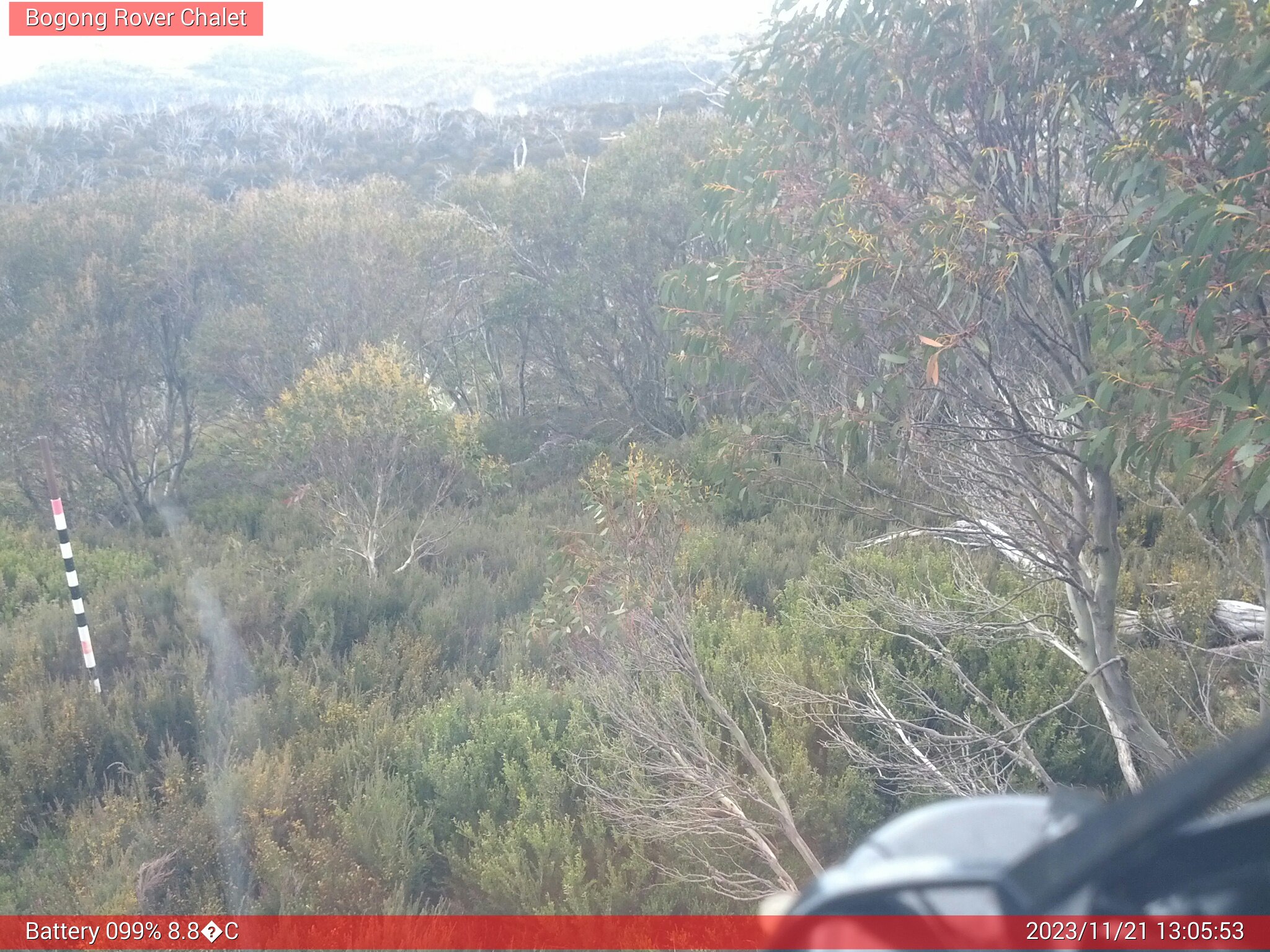 Bogong Web Cam 1:05pm Tuesday 21st of November 2023