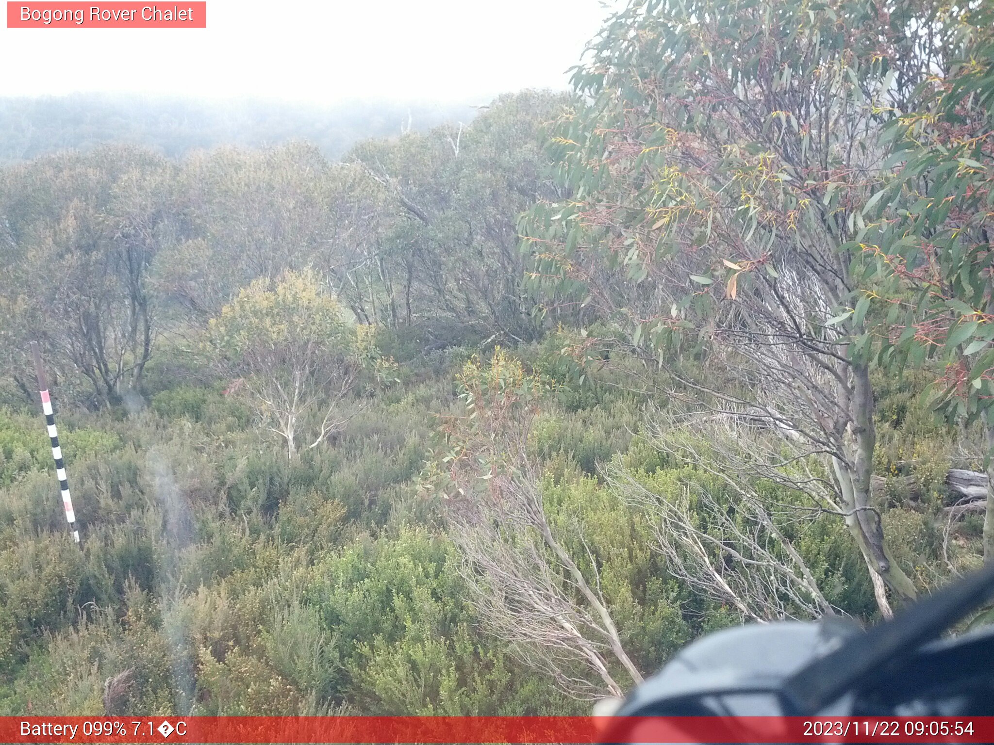 Bogong Web Cam 9:05am Wednesday 22nd of November 2023