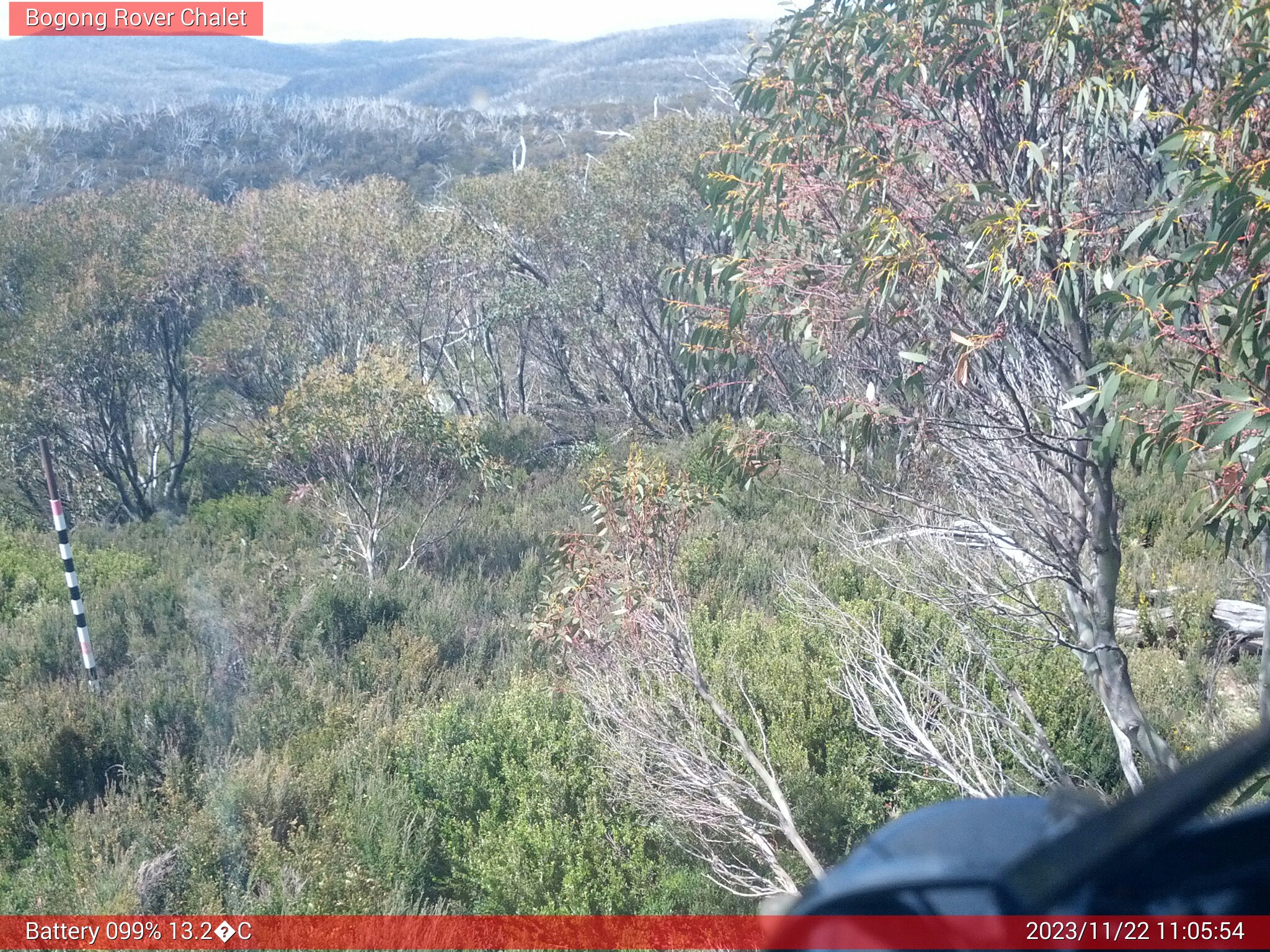 Bogong Web Cam 11:05am Wednesday 22nd of November 2023