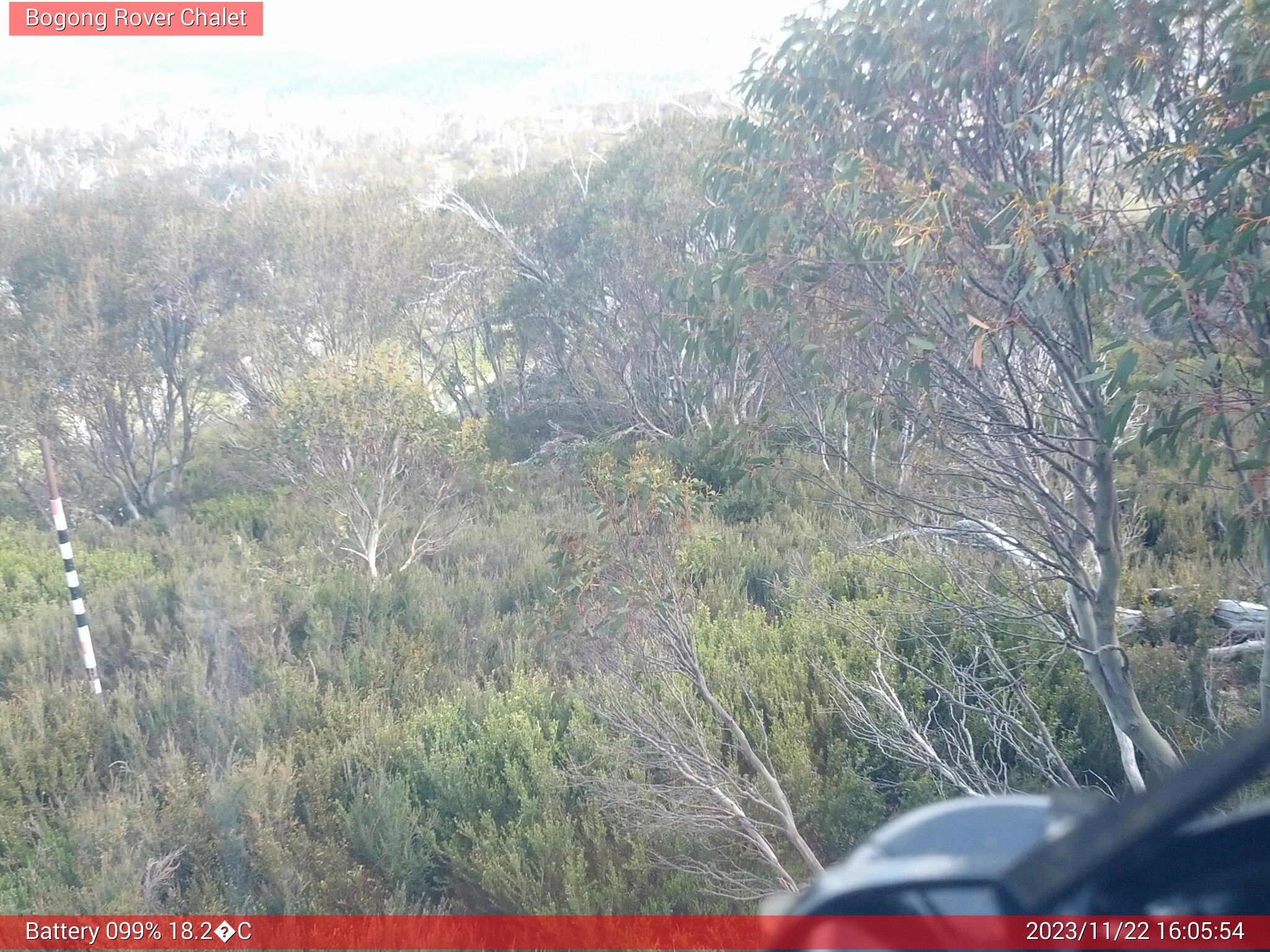 Bogong Web Cam 4:05pm Wednesday 22nd of November 2023