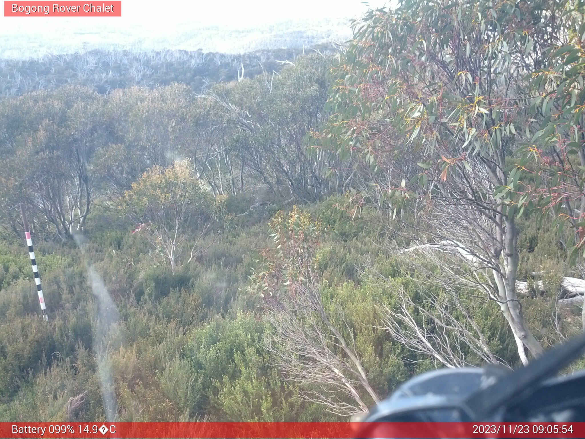 Bogong Web Cam 9:05am Thursday 23rd of November 2023