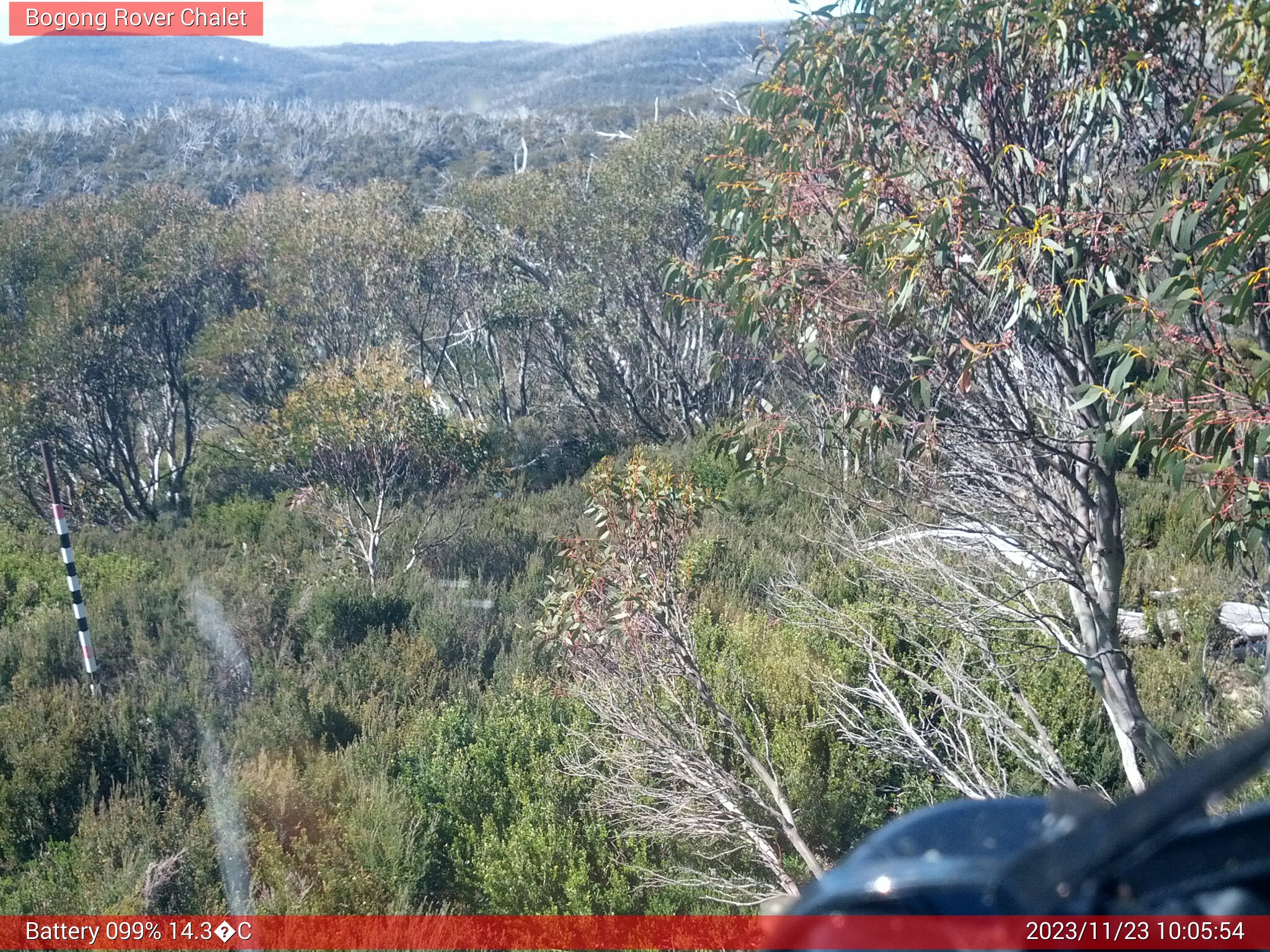 Bogong Web Cam 10:05am Thursday 23rd of November 2023