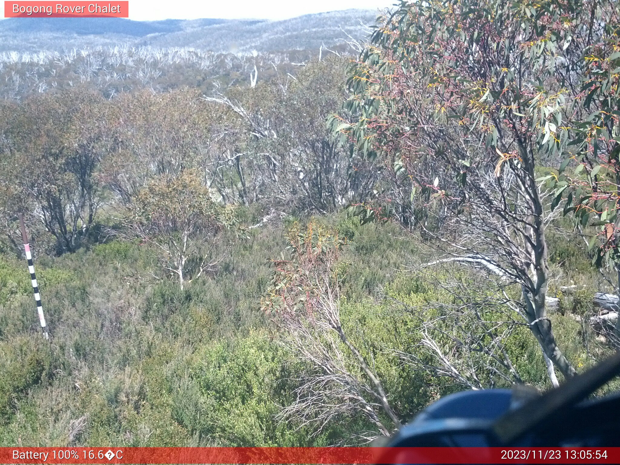 Bogong Web Cam 1:05pm Thursday 23rd of November 2023