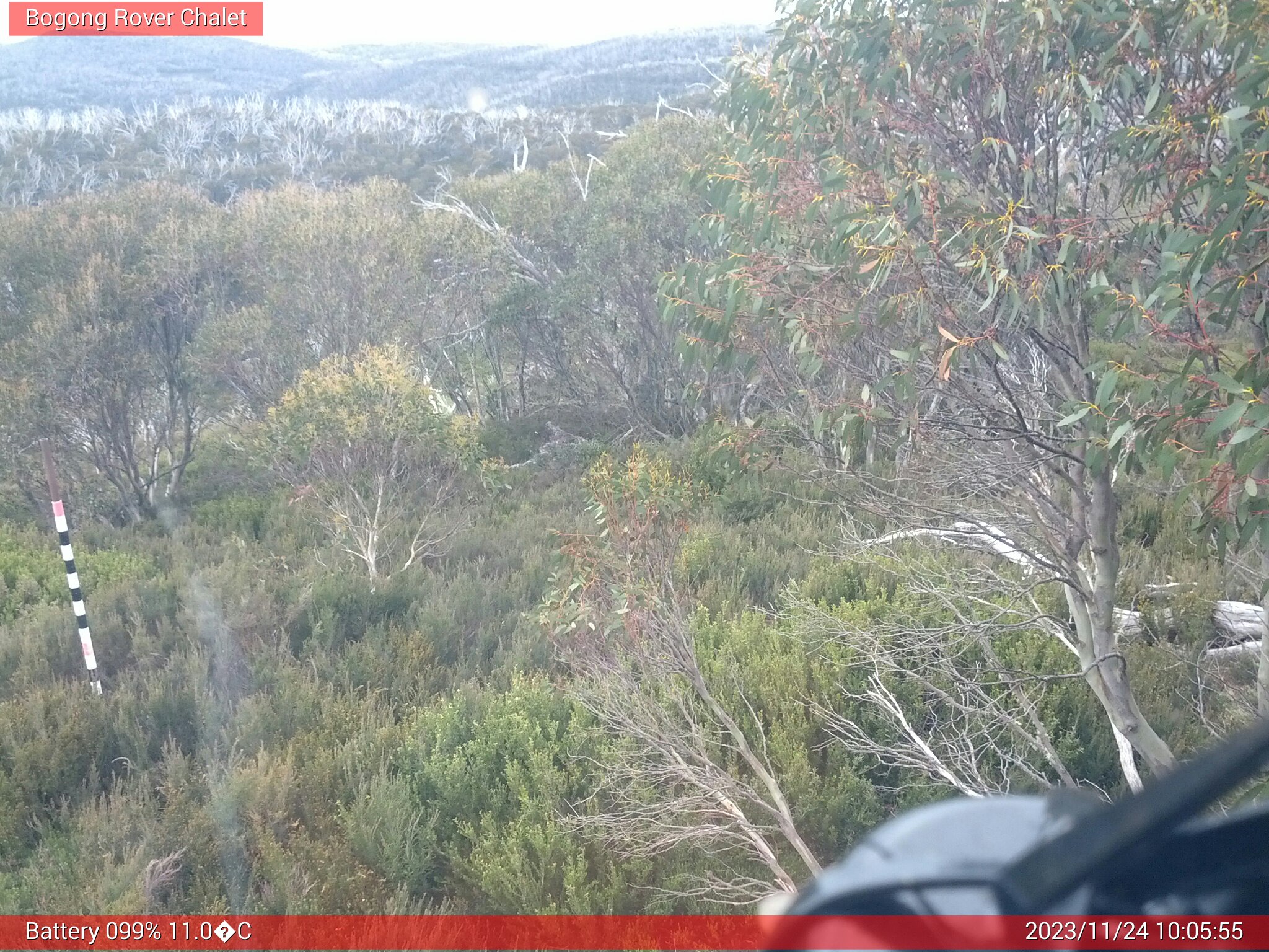 Bogong Web Cam 10:05am Friday 24th of November 2023